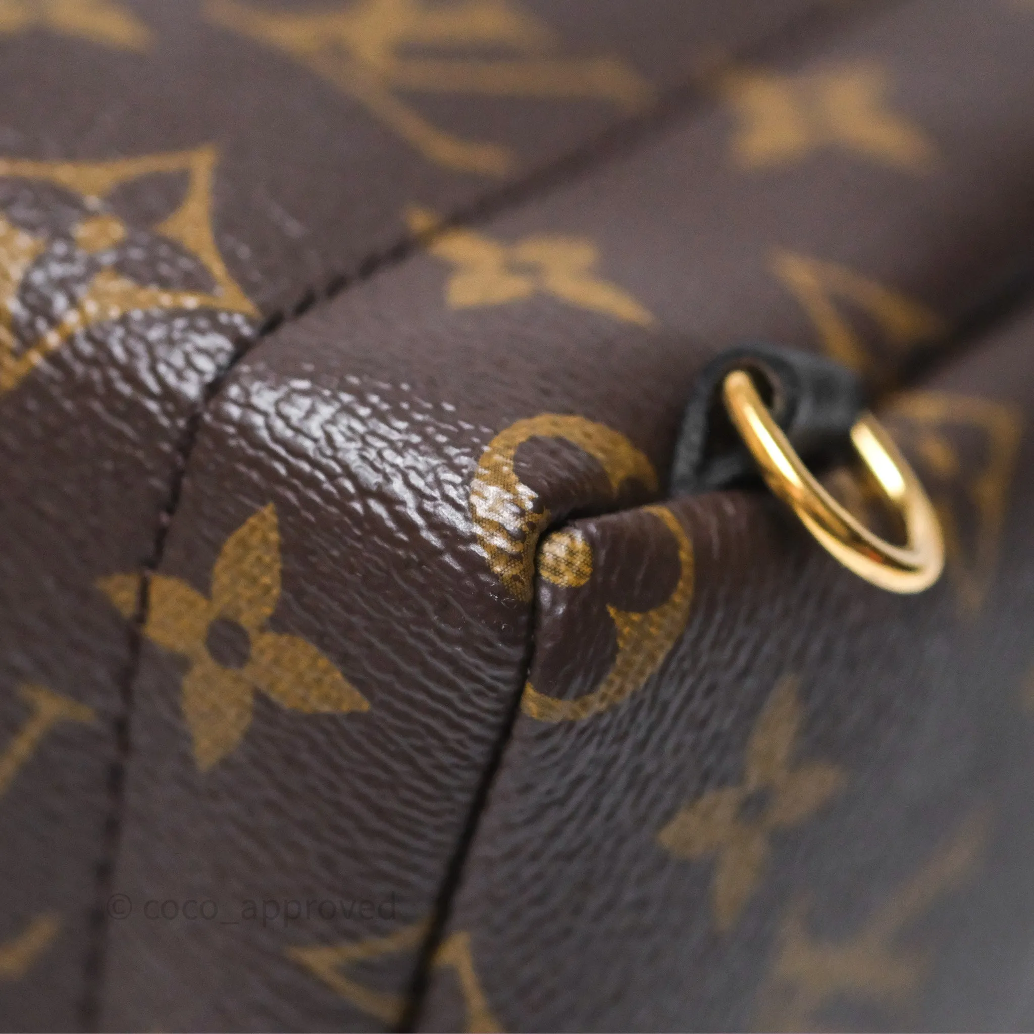Louis Vuitton Mini Palm Springs Backpack Monogram
