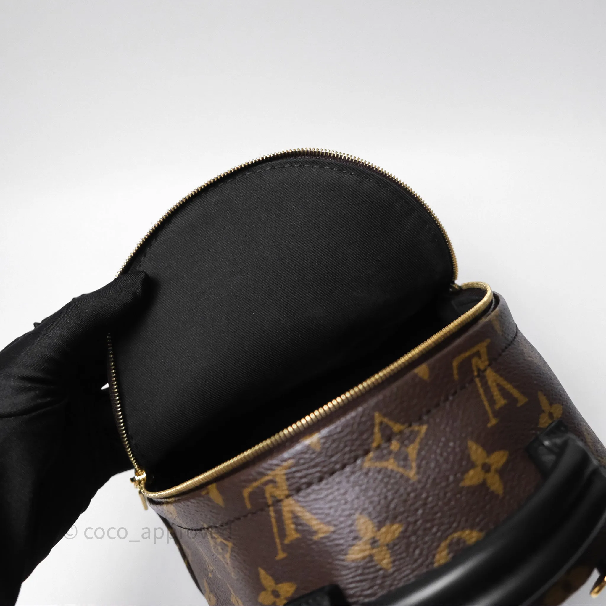 Louis Vuitton Mini Palm Springs Backpack Monogram