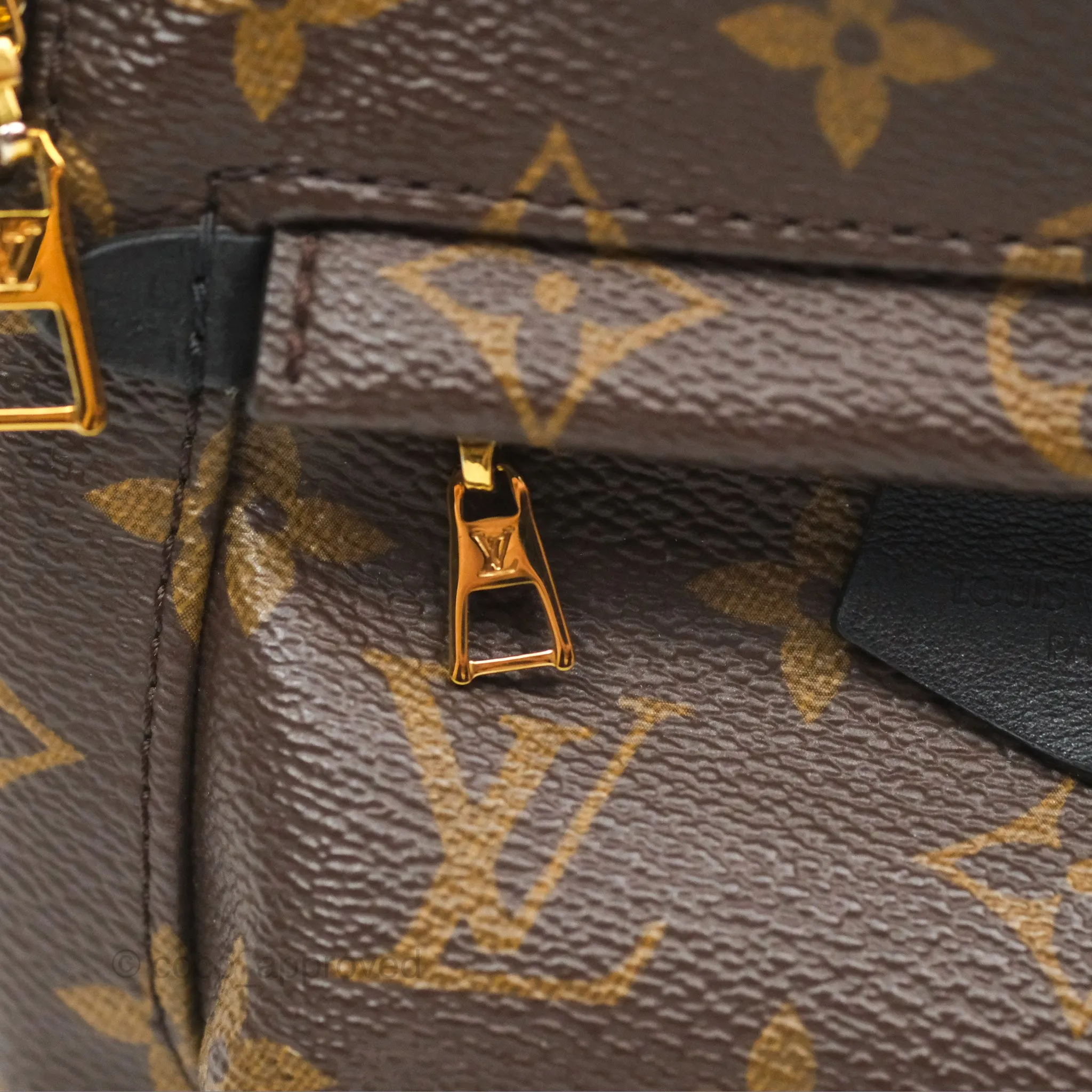Louis Vuitton Mini Palm Springs Backpack Monogram