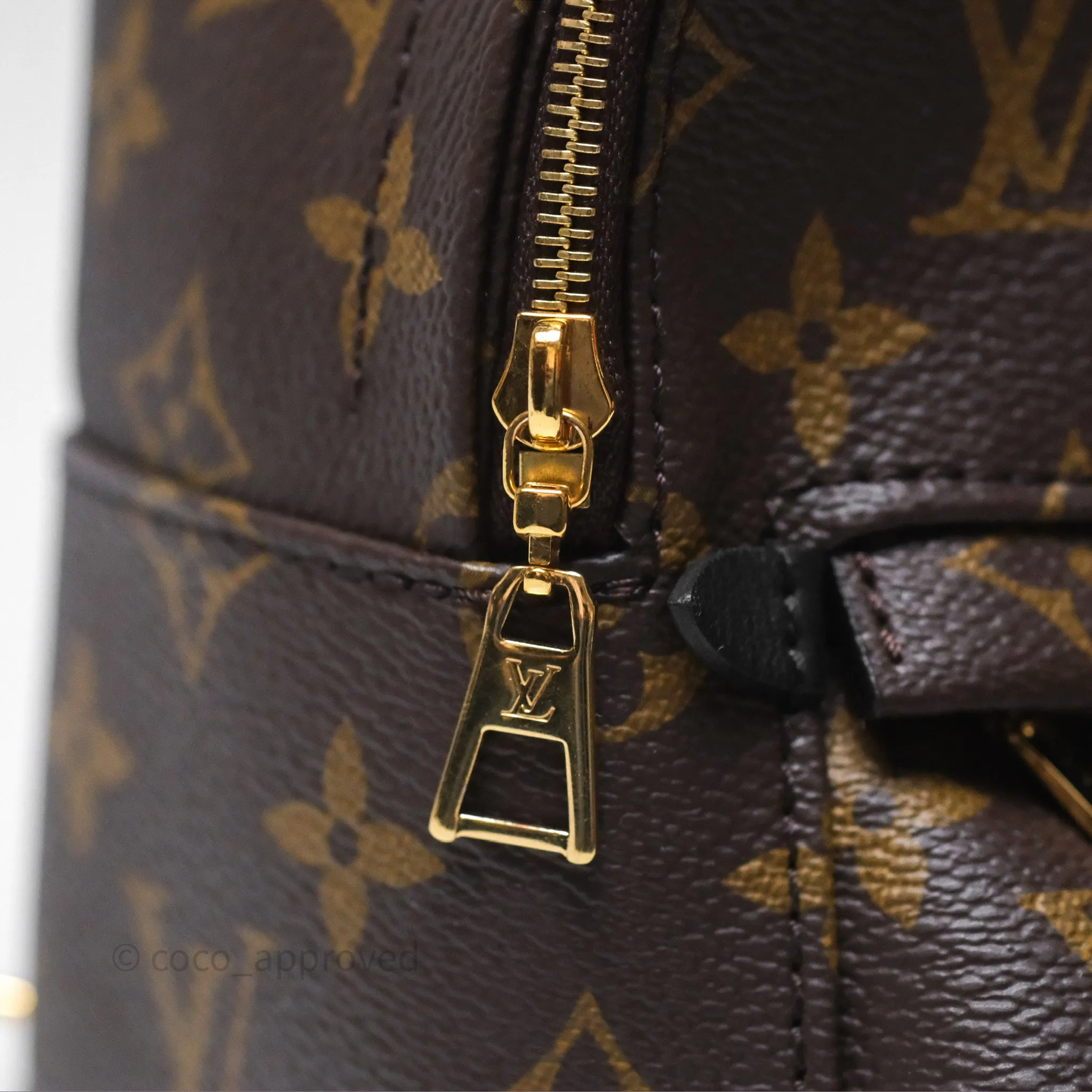 Louis Vuitton Mini Palm Springs Backpack Monogram