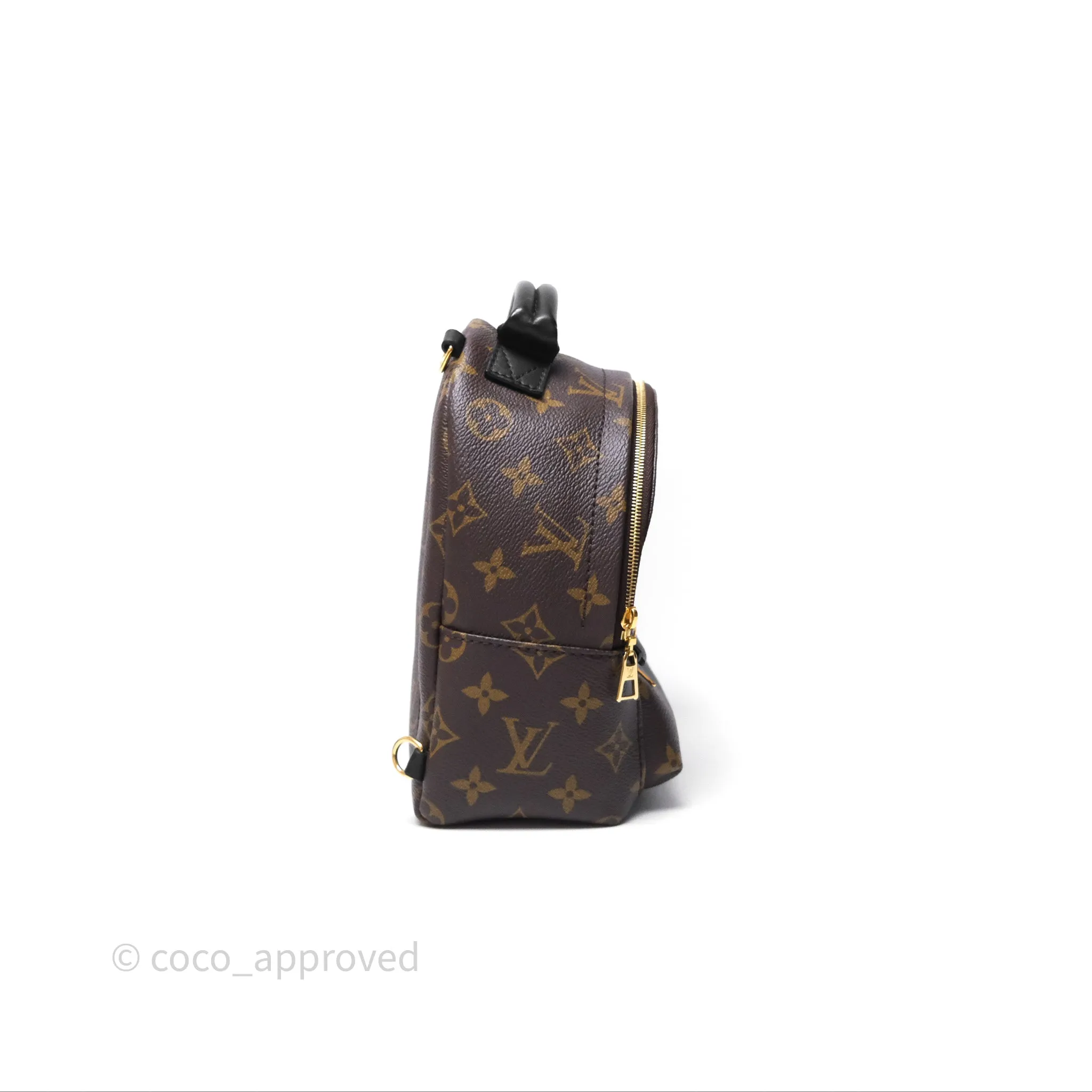 Louis Vuitton Mini Palm Springs Backpack Monogram