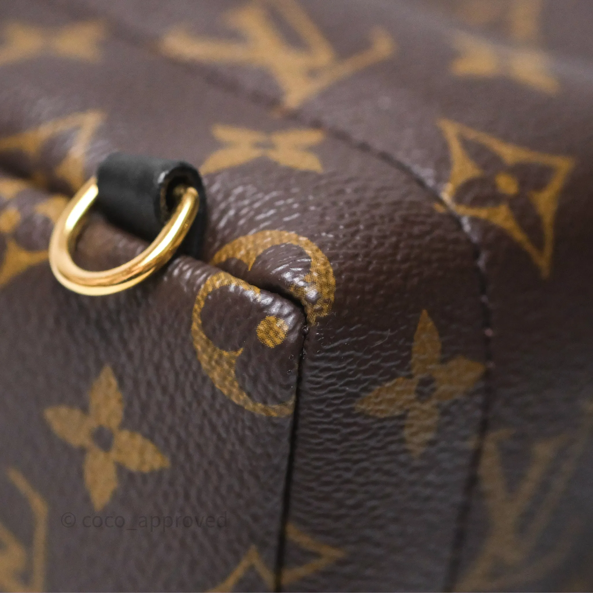 Louis Vuitton Mini Palm Springs Backpack Monogram