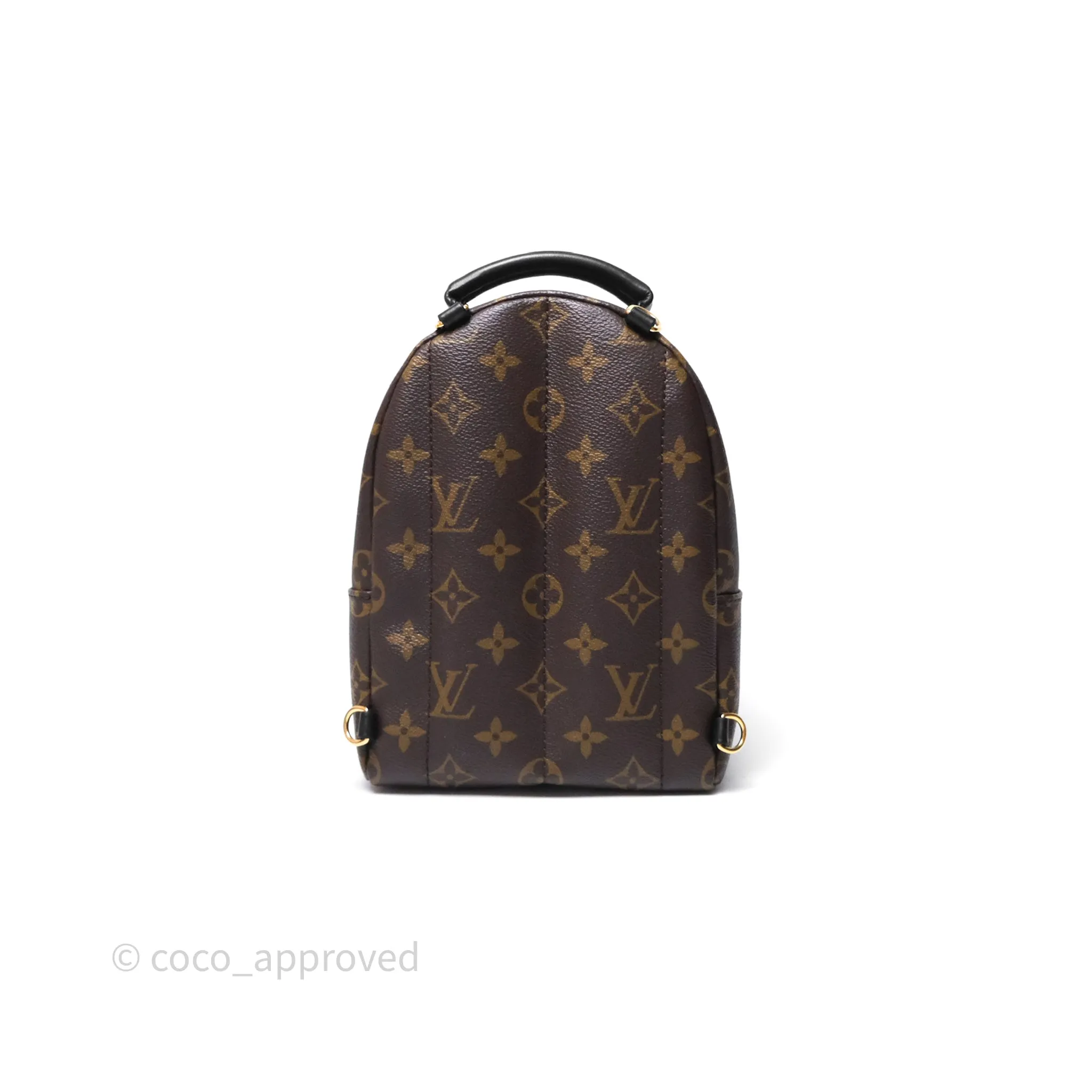 Louis Vuitton Mini Palm Springs Backpack Monogram