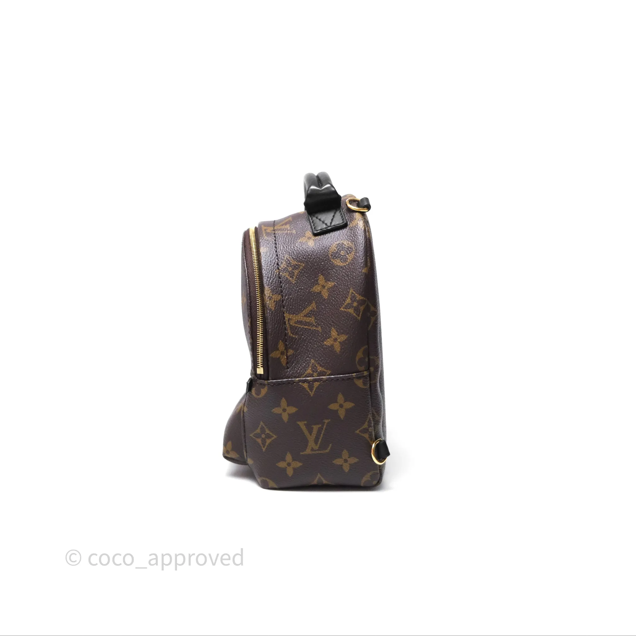 Louis Vuitton Mini Palm Springs Backpack Monogram