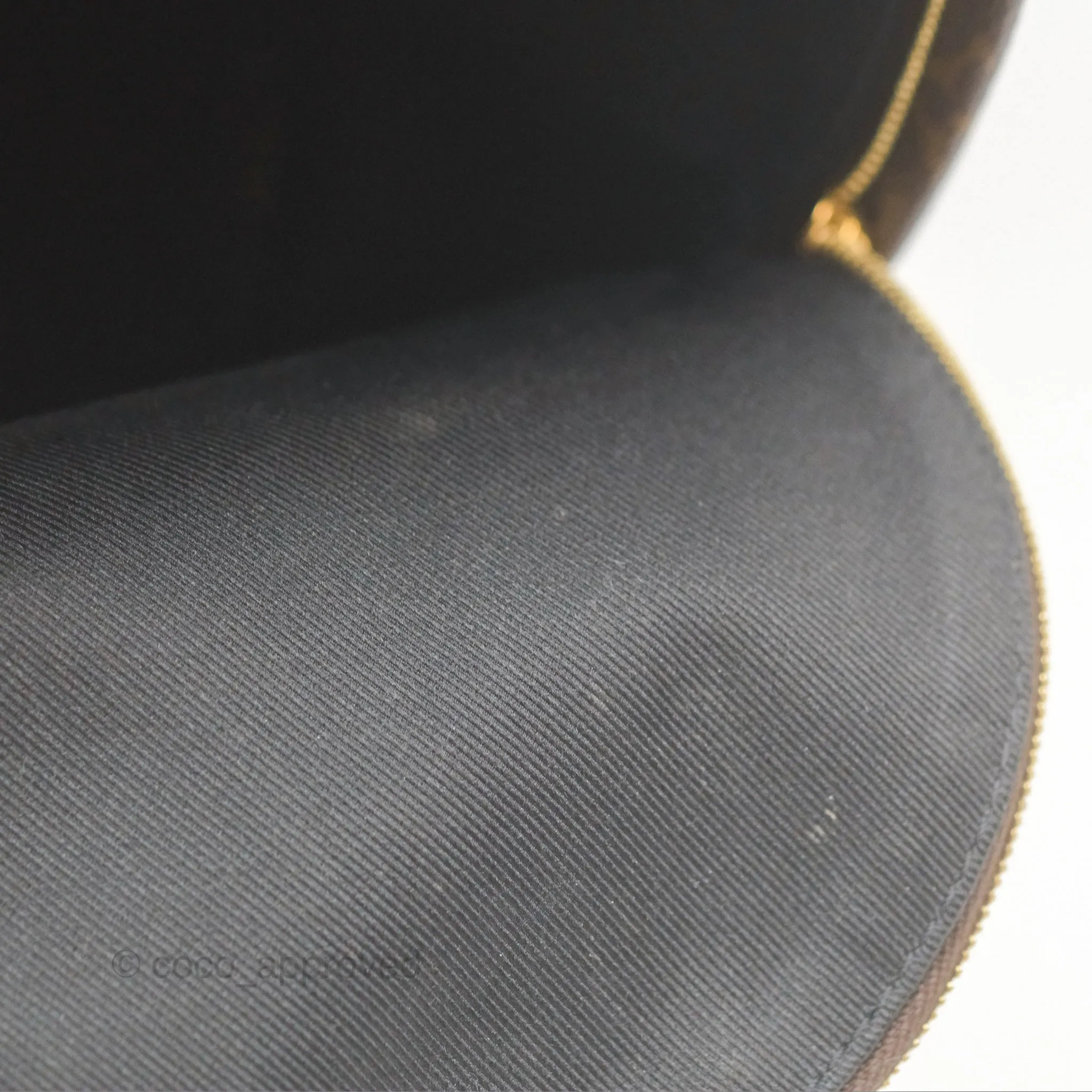 Louis Vuitton Mini Palm Springs Backpack Monogram