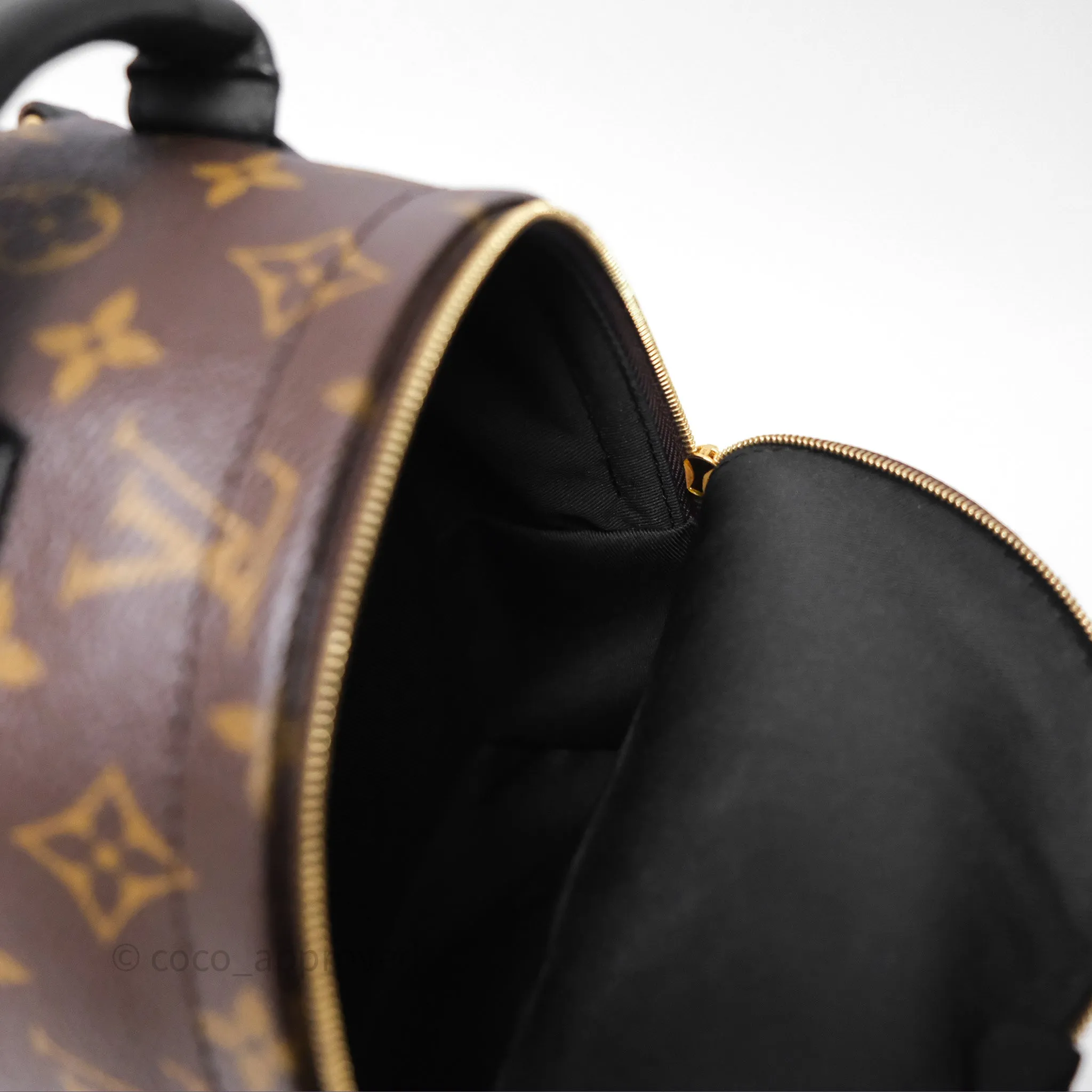 Louis Vuitton Mini Palm Springs Backpack Monogram