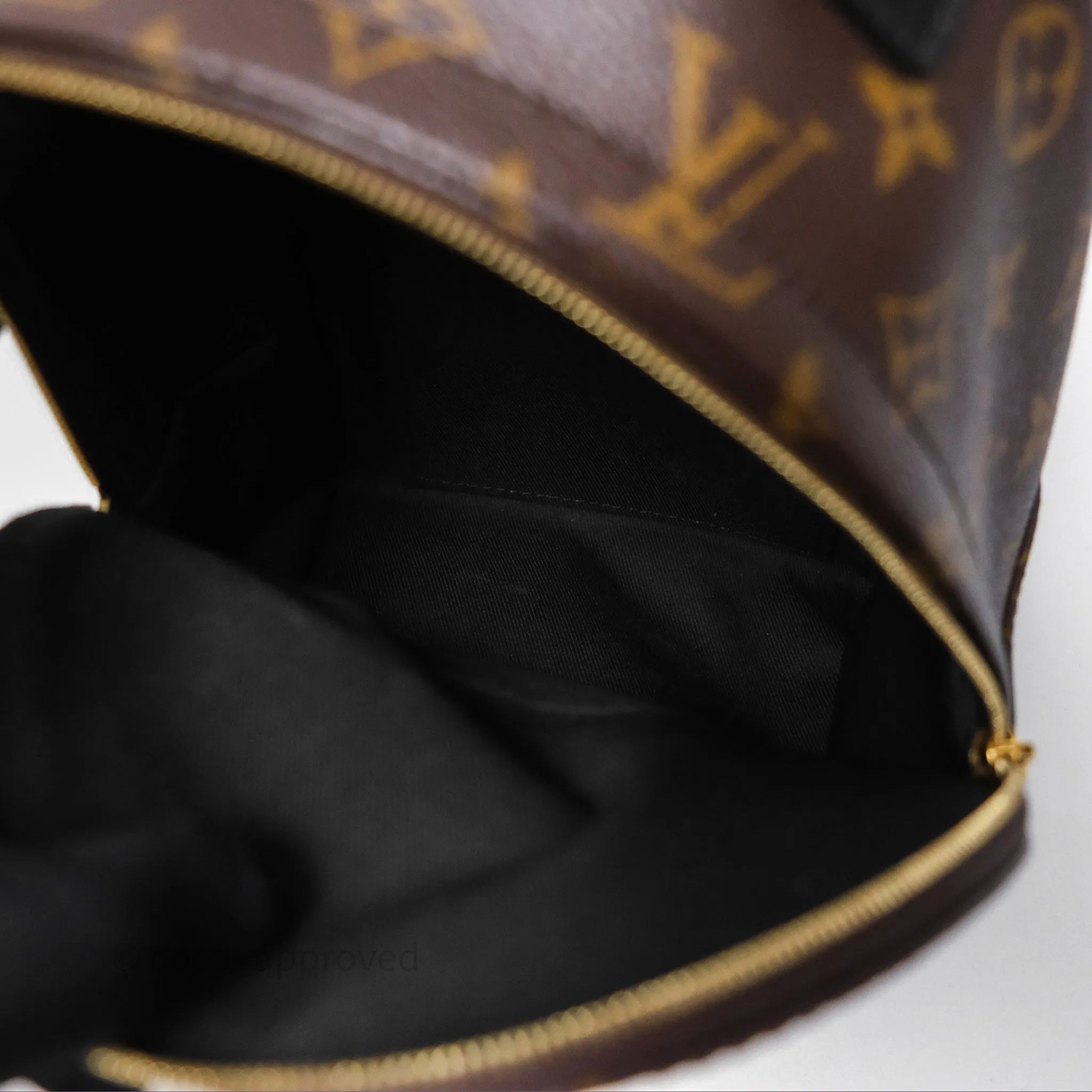 Louis Vuitton Mini Palm Springs Backpack Monogram