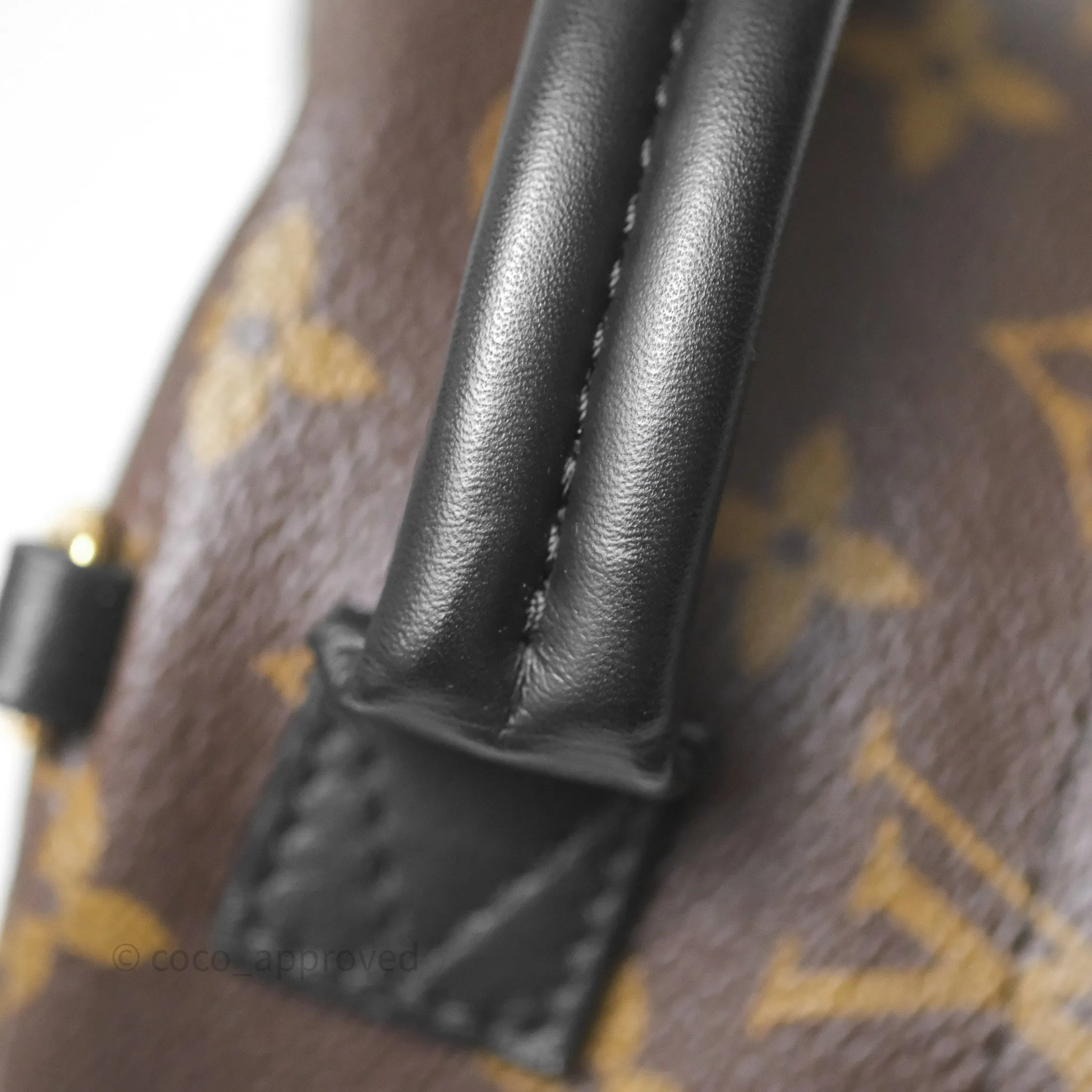 Louis Vuitton Mini Palm Springs Backpack Monogram