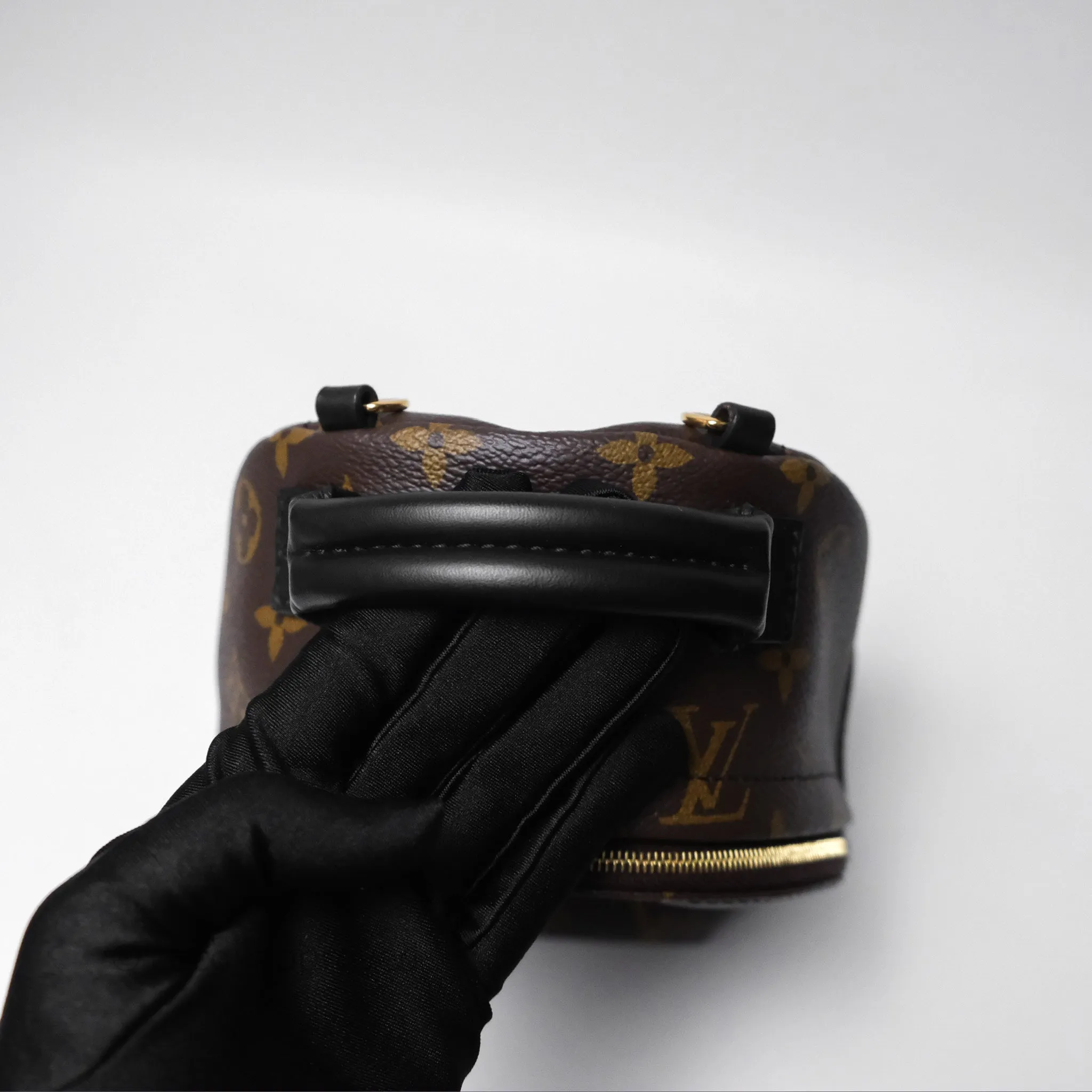 Louis Vuitton Mini Palm Springs Backpack Monogram