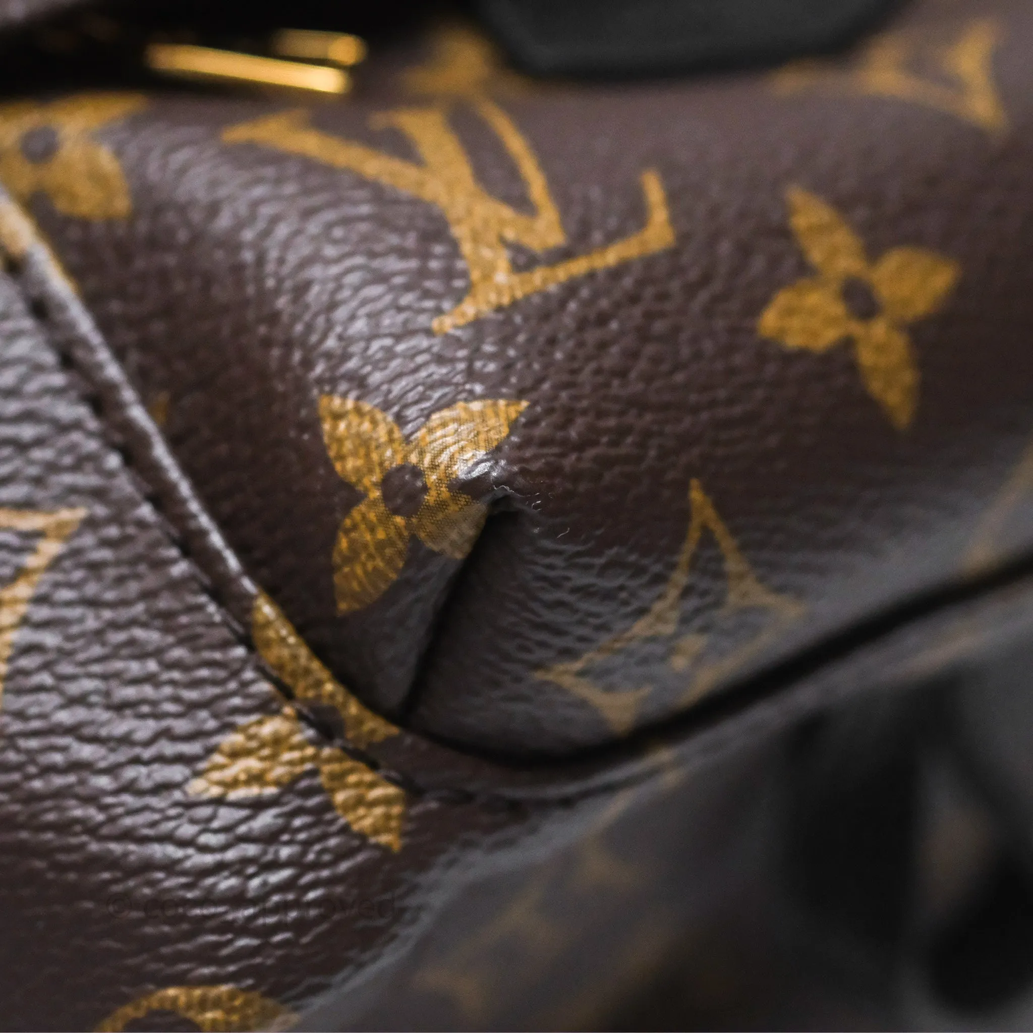 Louis Vuitton Mini Palm Springs Backpack Monogram