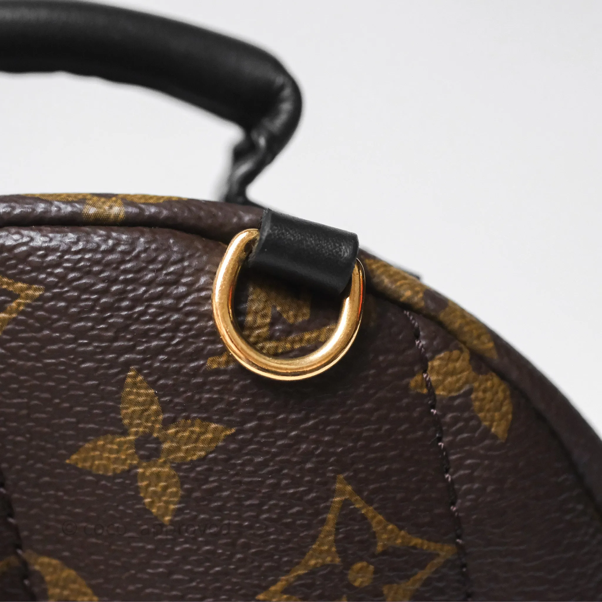 Louis Vuitton Mini Palm Springs Backpack Monogram