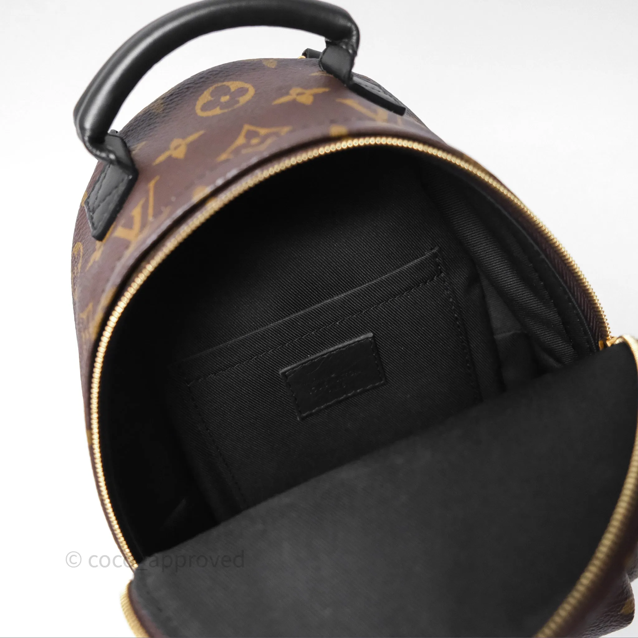 Louis Vuitton Mini Palm Springs Backpack Monogram