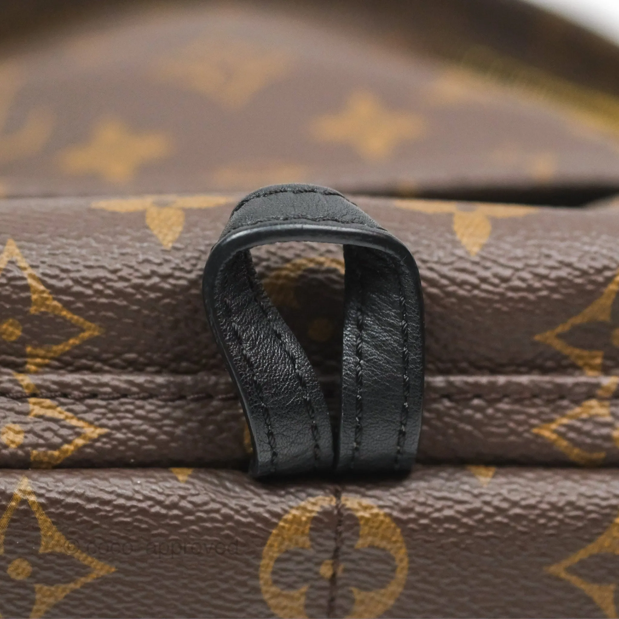 Louis Vuitton Mini Palm Springs Backpack Monogram