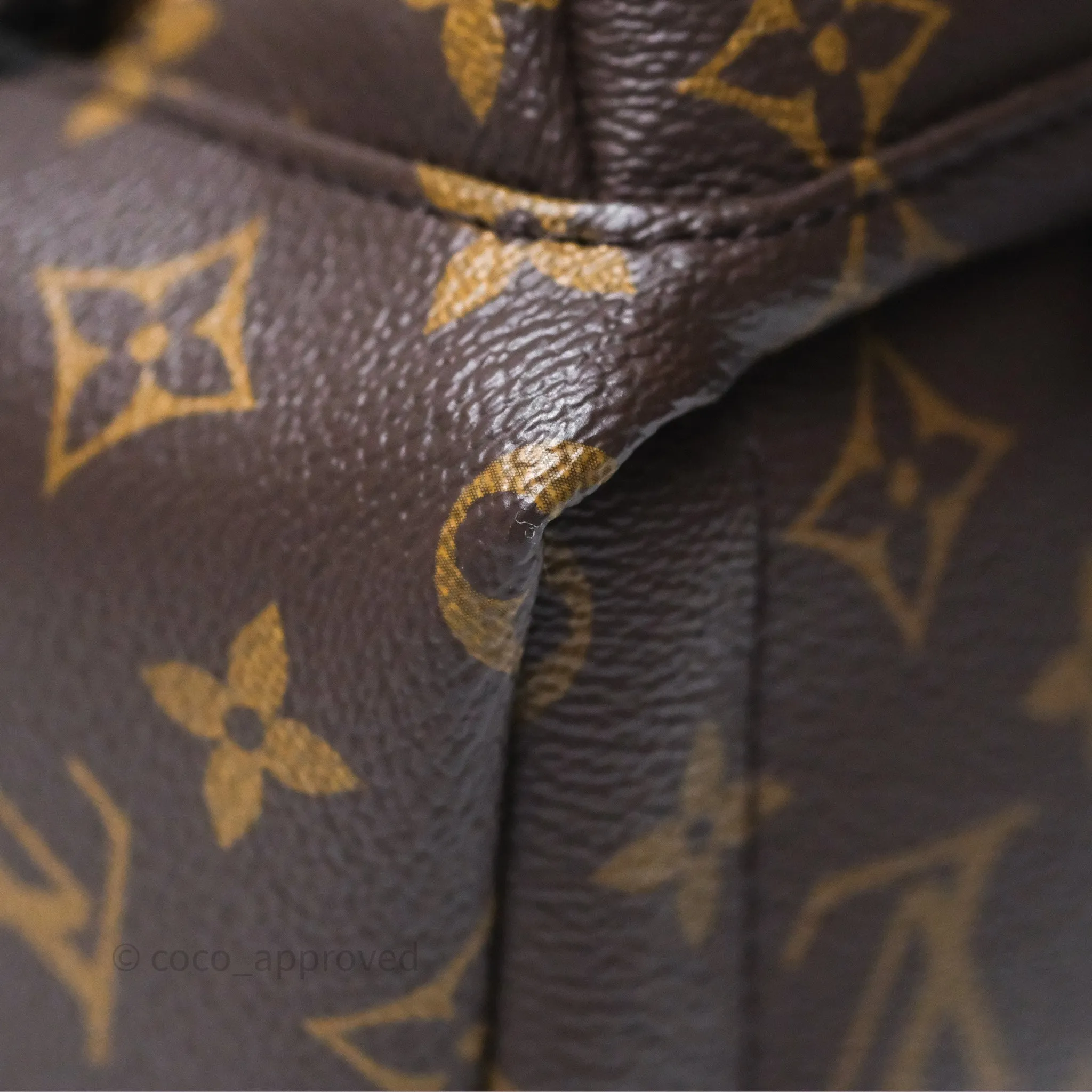 Louis Vuitton Mini Palm Springs Backpack Monogram