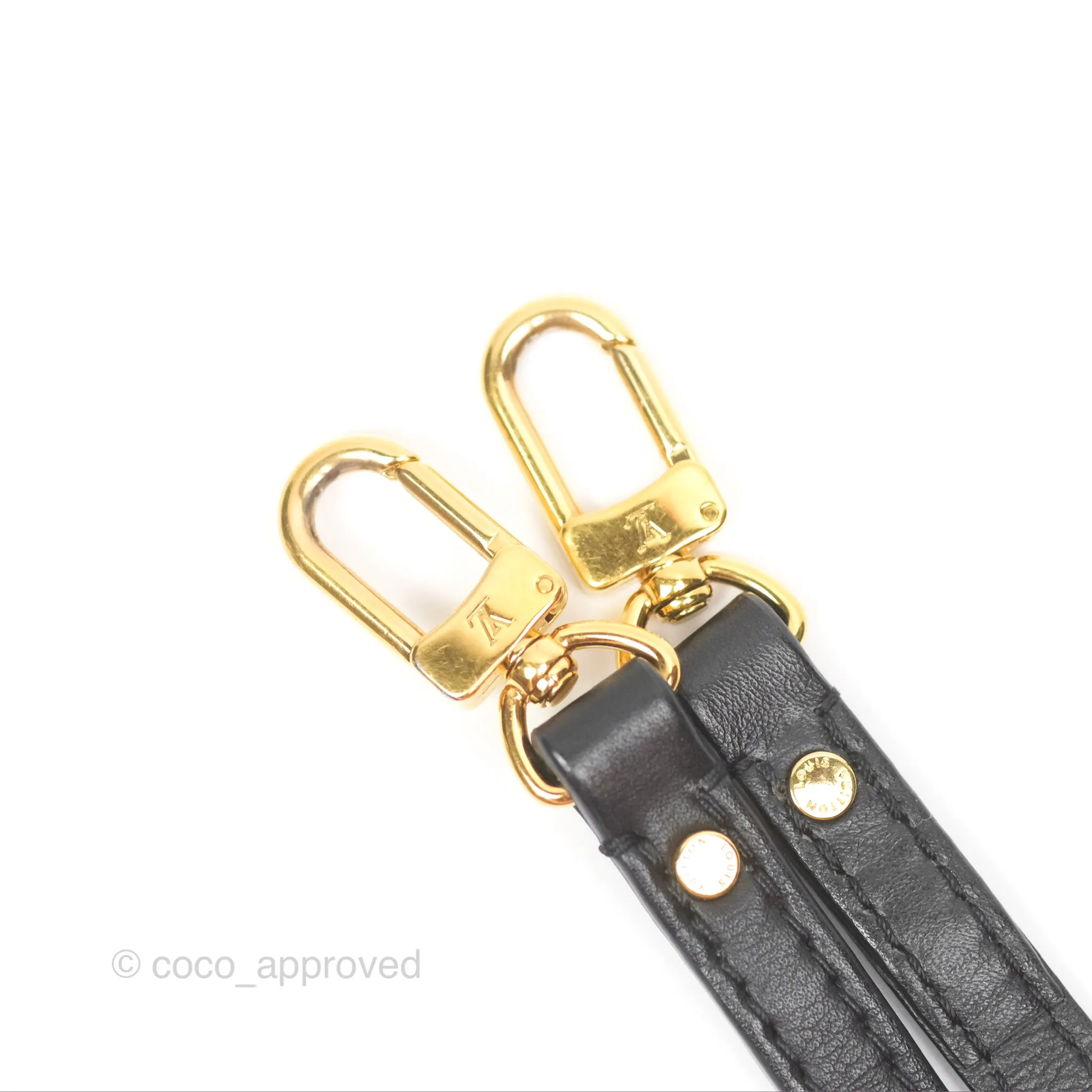 Louis Vuitton Mini Palm Springs Backpack Monogram