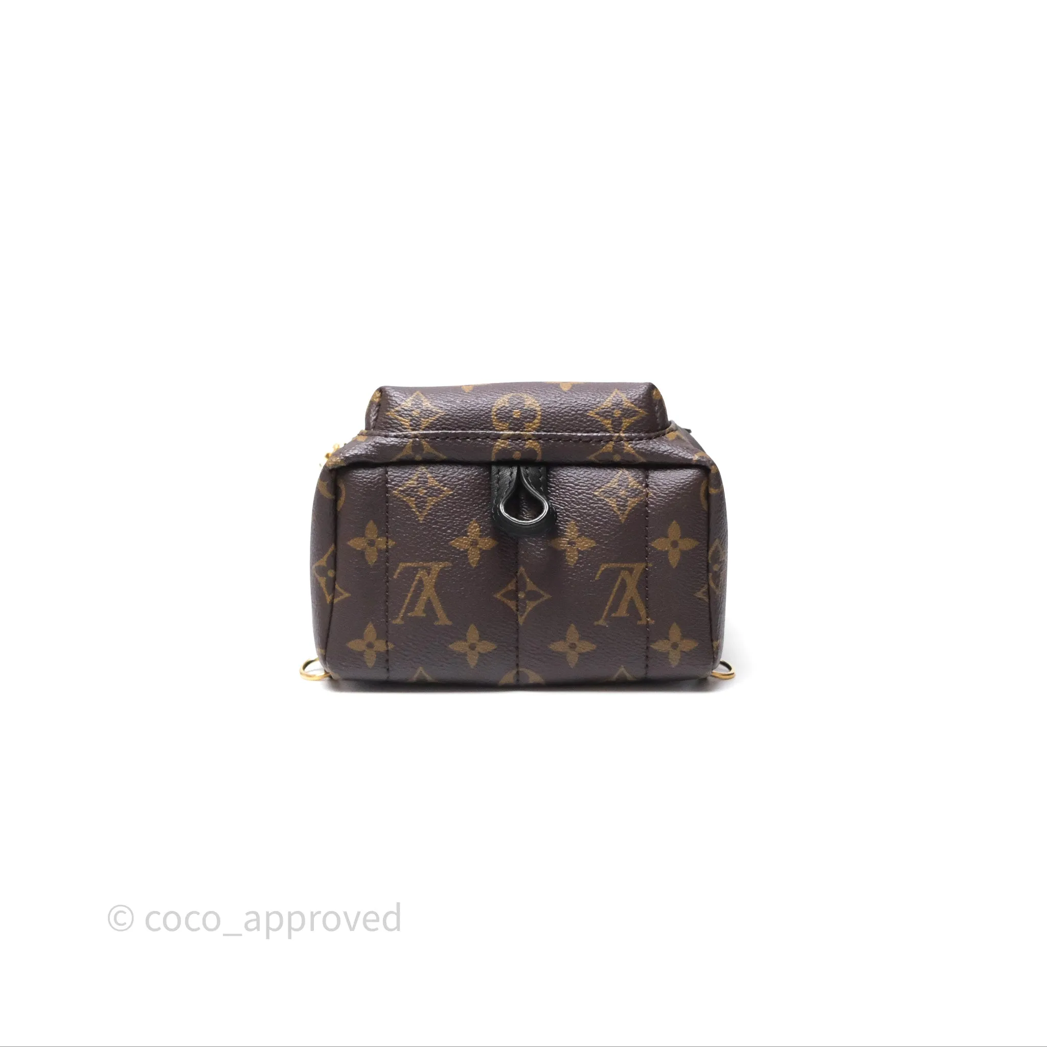 Louis Vuitton Mini Palm Springs Backpack Monogram