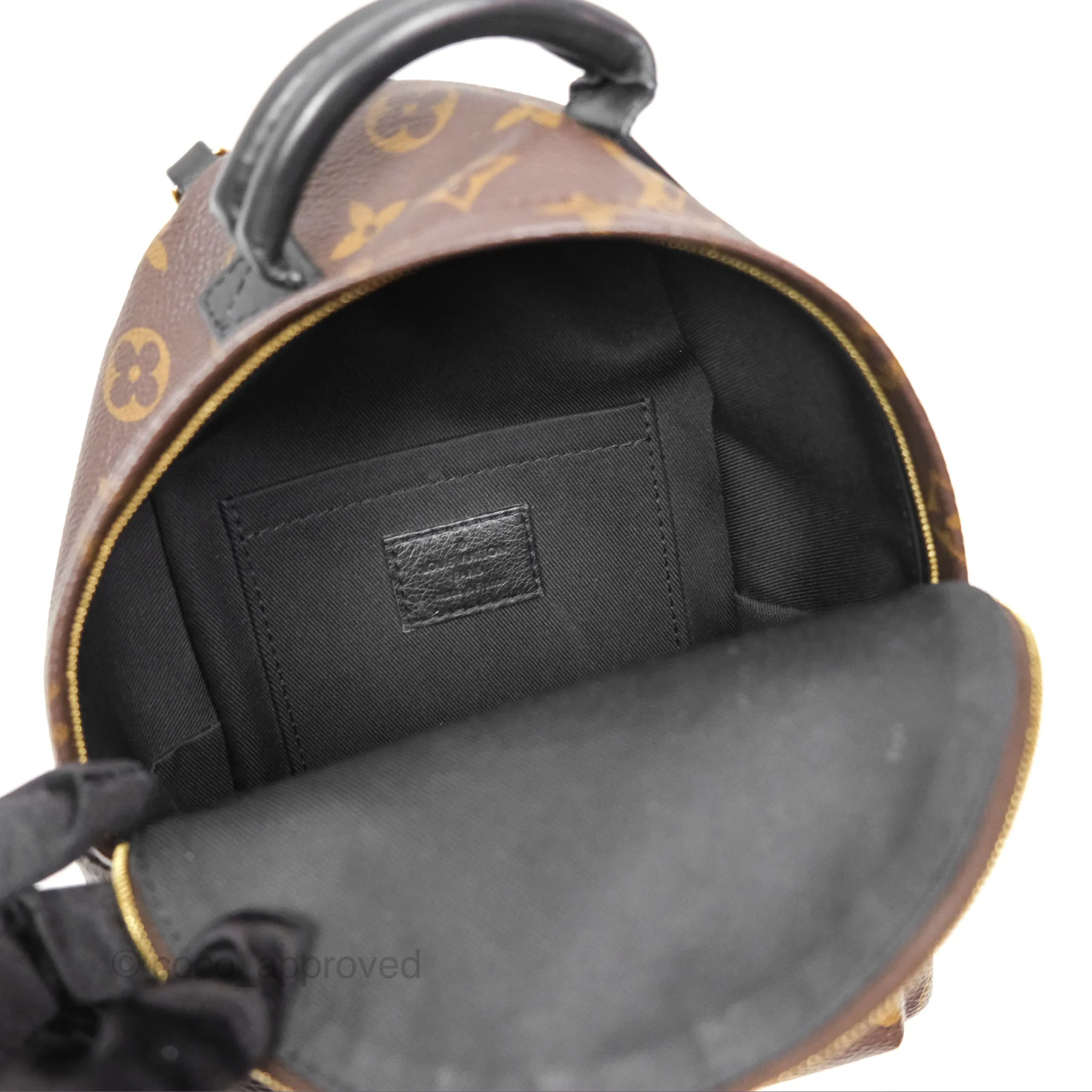 Louis Vuitton Mini Palm Springs Backpack Monogram