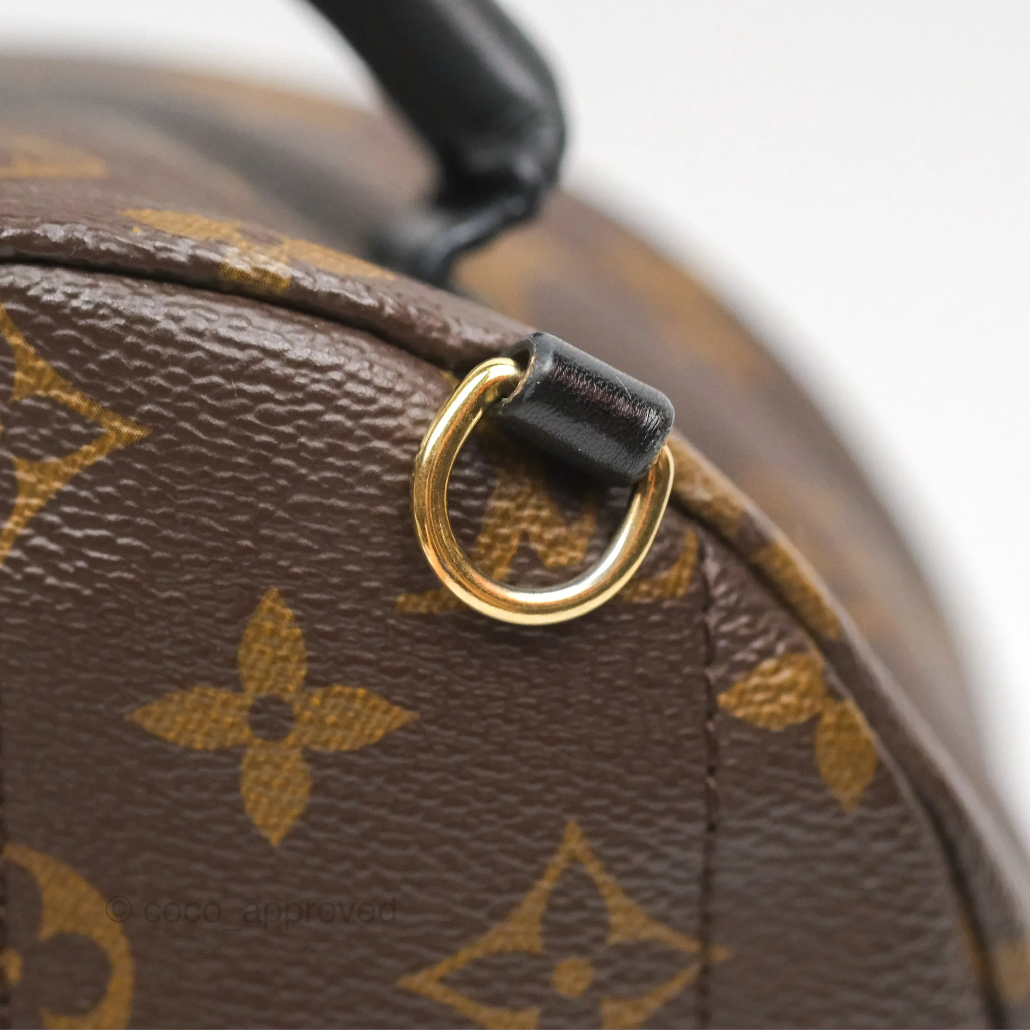 Louis Vuitton Mini Palm Springs Backpack Monogram