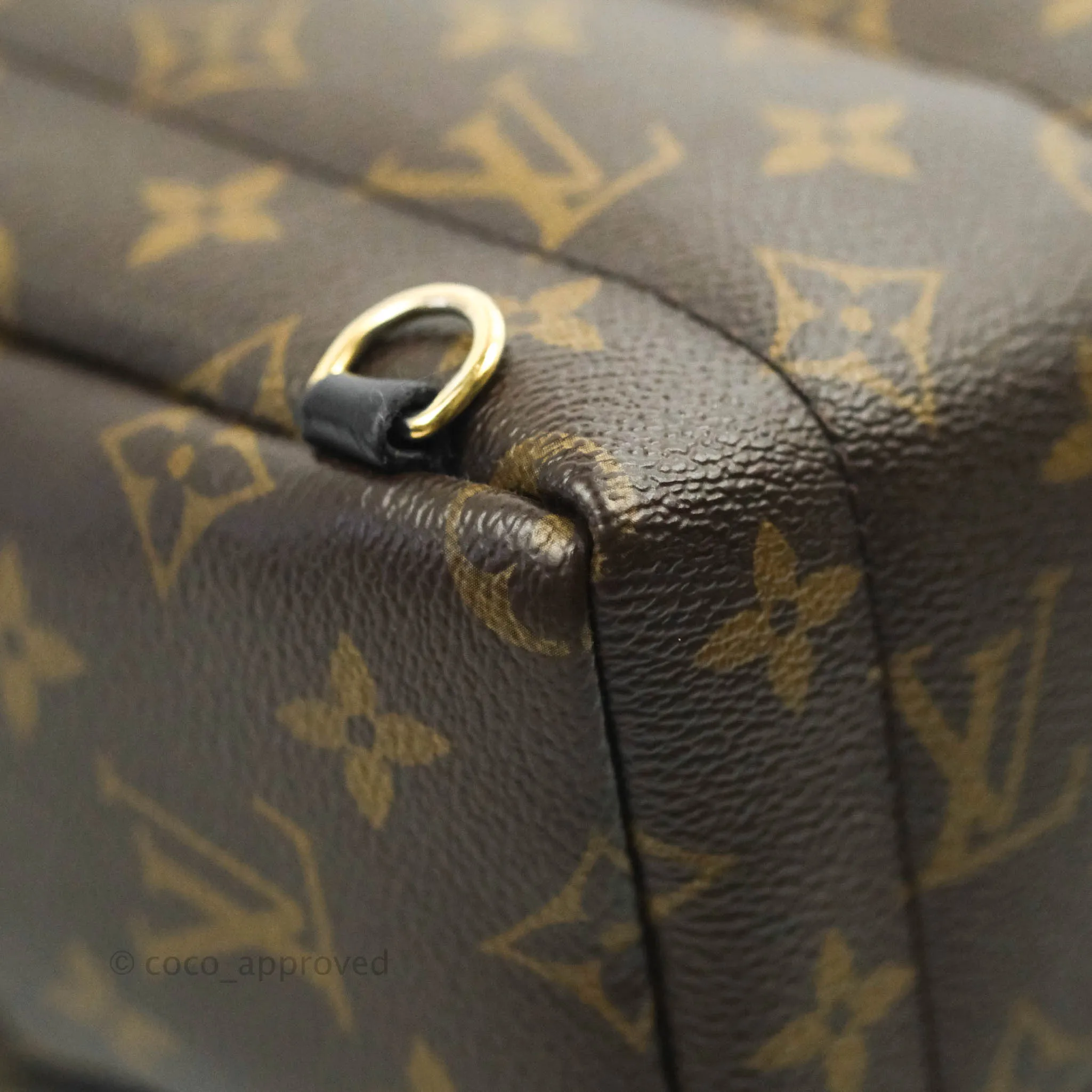 Louis Vuitton Mini Palm Springs Monogram Canvas Backpack