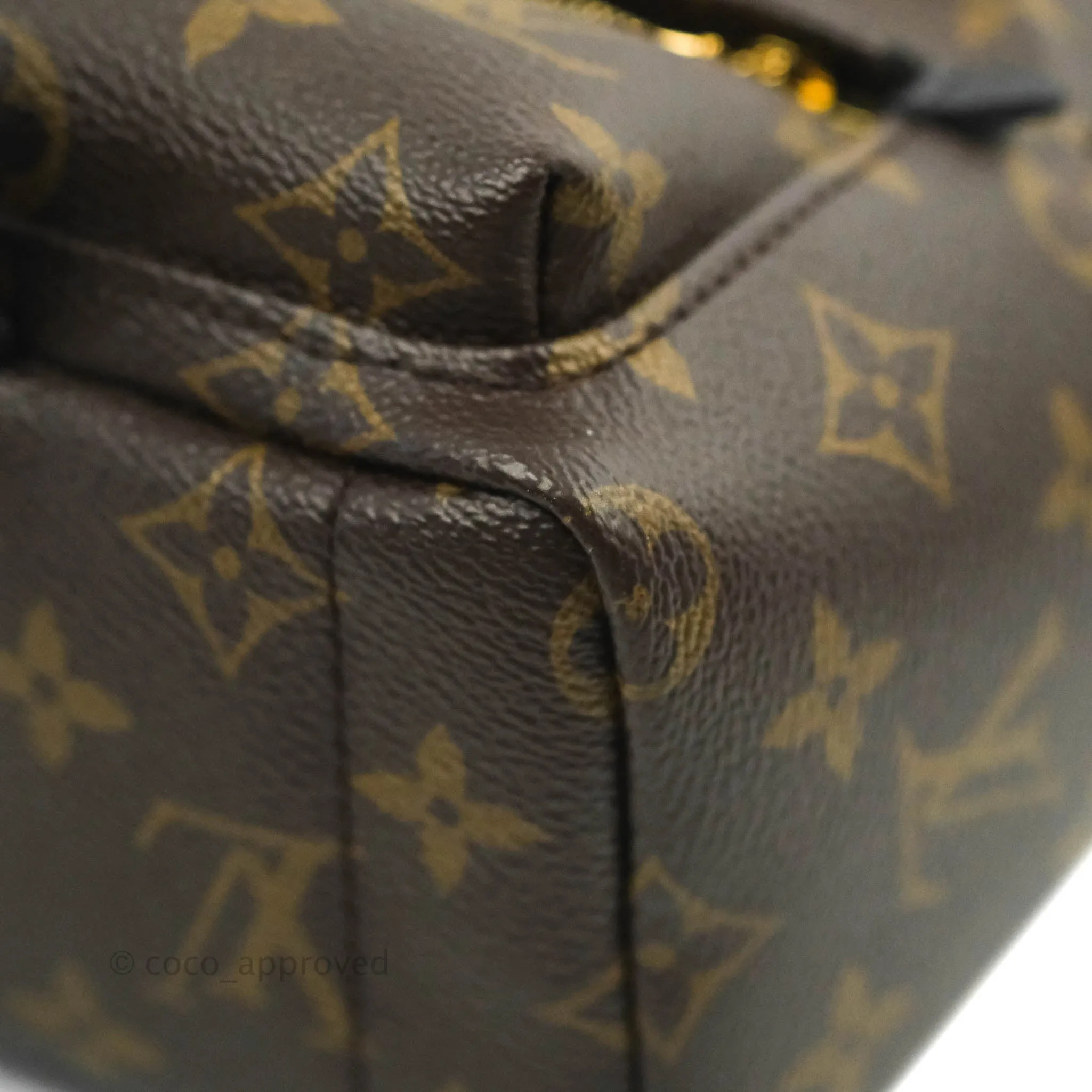 Louis Vuitton Mini Palm Springs Monogram Canvas Backpack