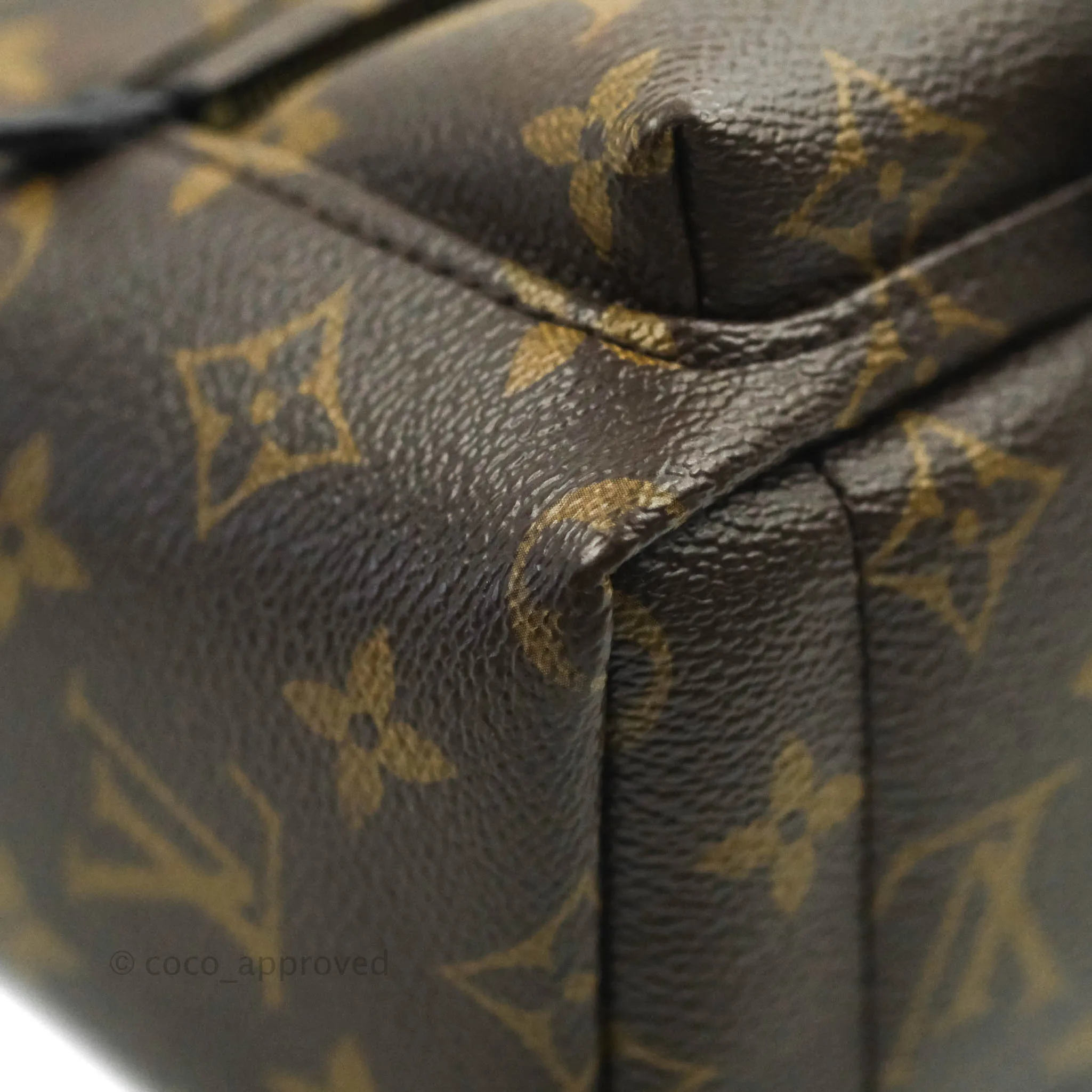 Louis Vuitton Mini Palm Springs Monogram Canvas Backpack