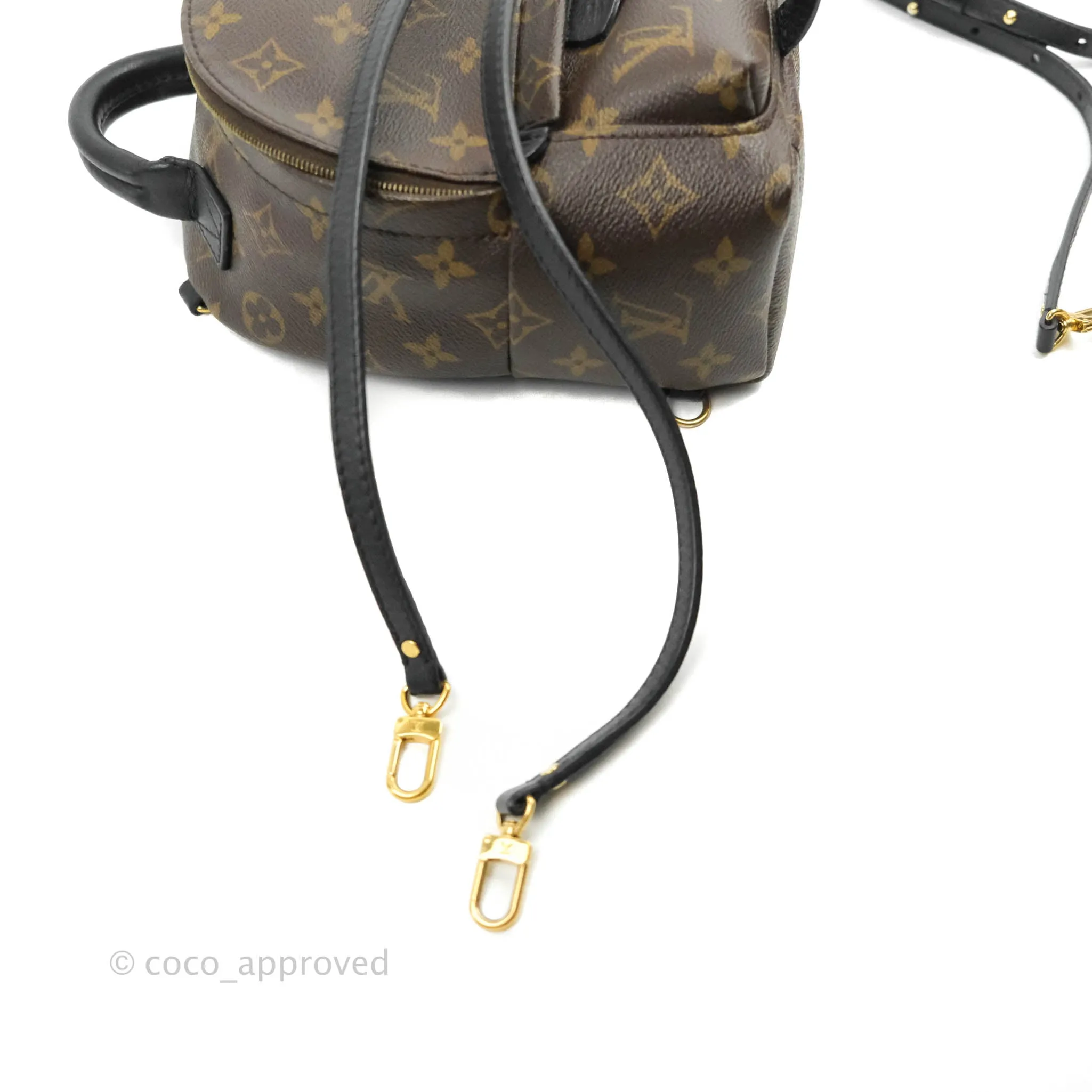 Louis Vuitton Mini Palm Springs Monogram Canvas Backpack