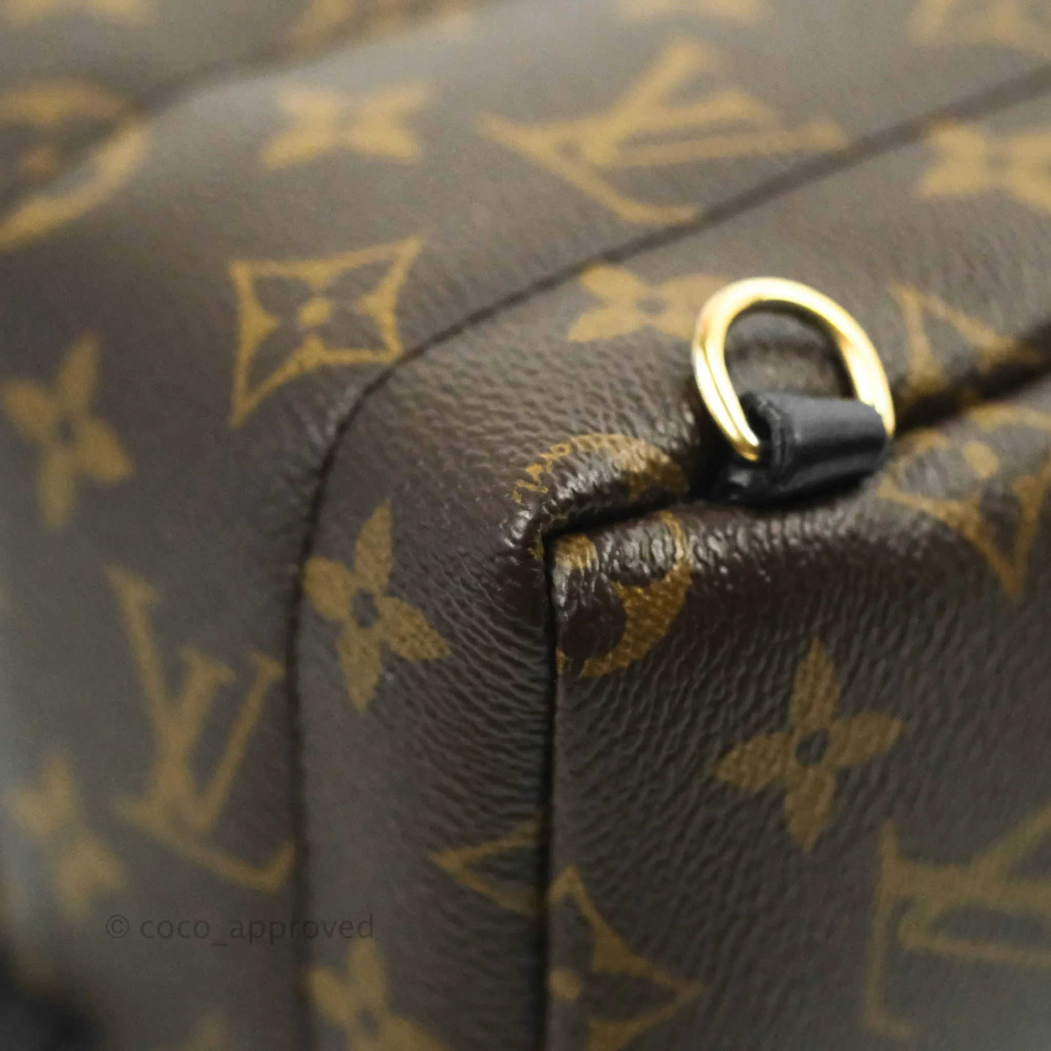 Louis Vuitton Mini Palm Springs Monogram Canvas Backpack