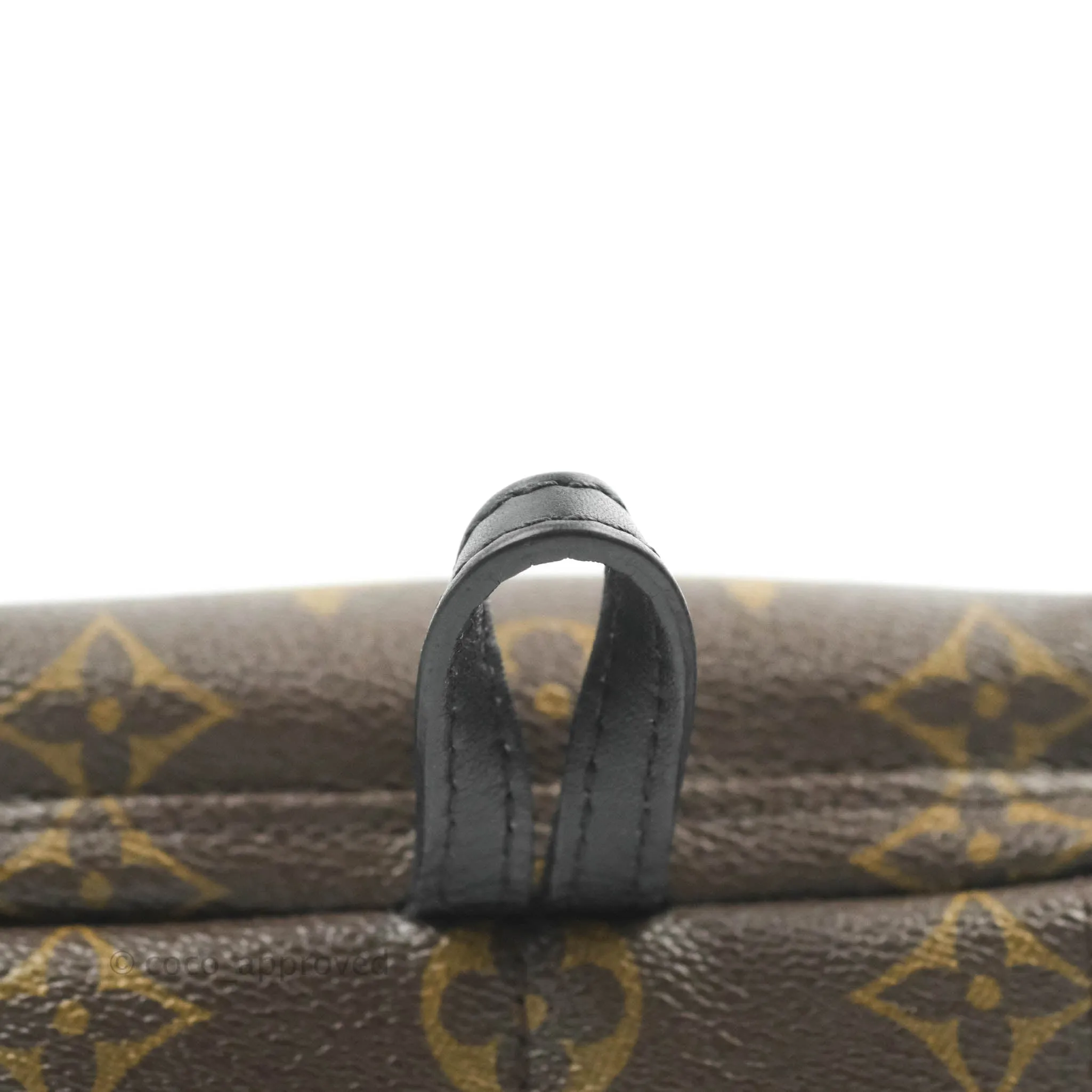 Louis Vuitton Mini Palm Springs Monogram Canvas Backpack