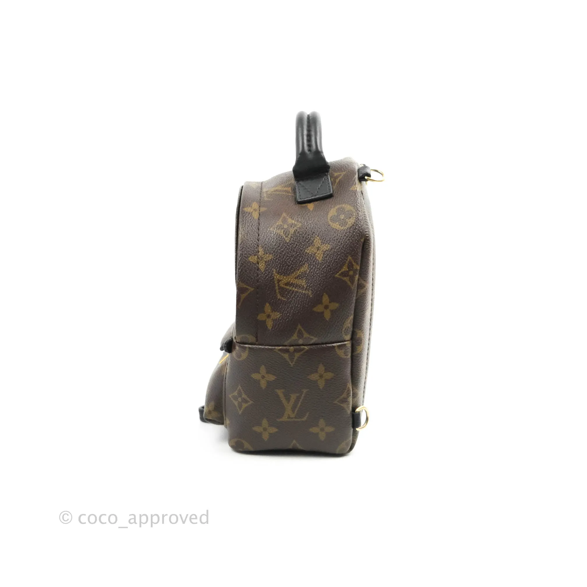 Louis Vuitton Mini Palm Springs Monogram Canvas Backpack