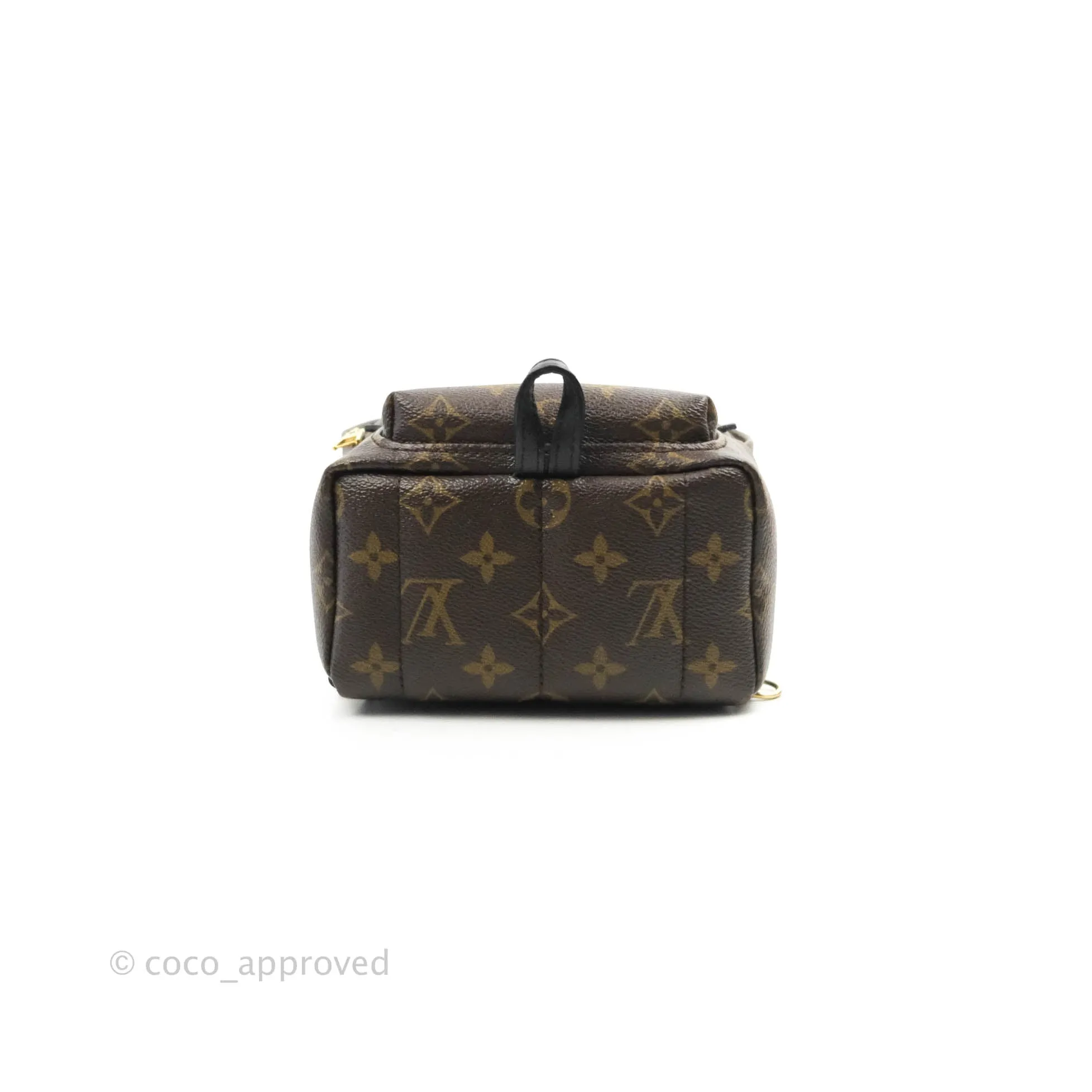 Louis Vuitton Mini Palm Springs Monogram Canvas Backpack