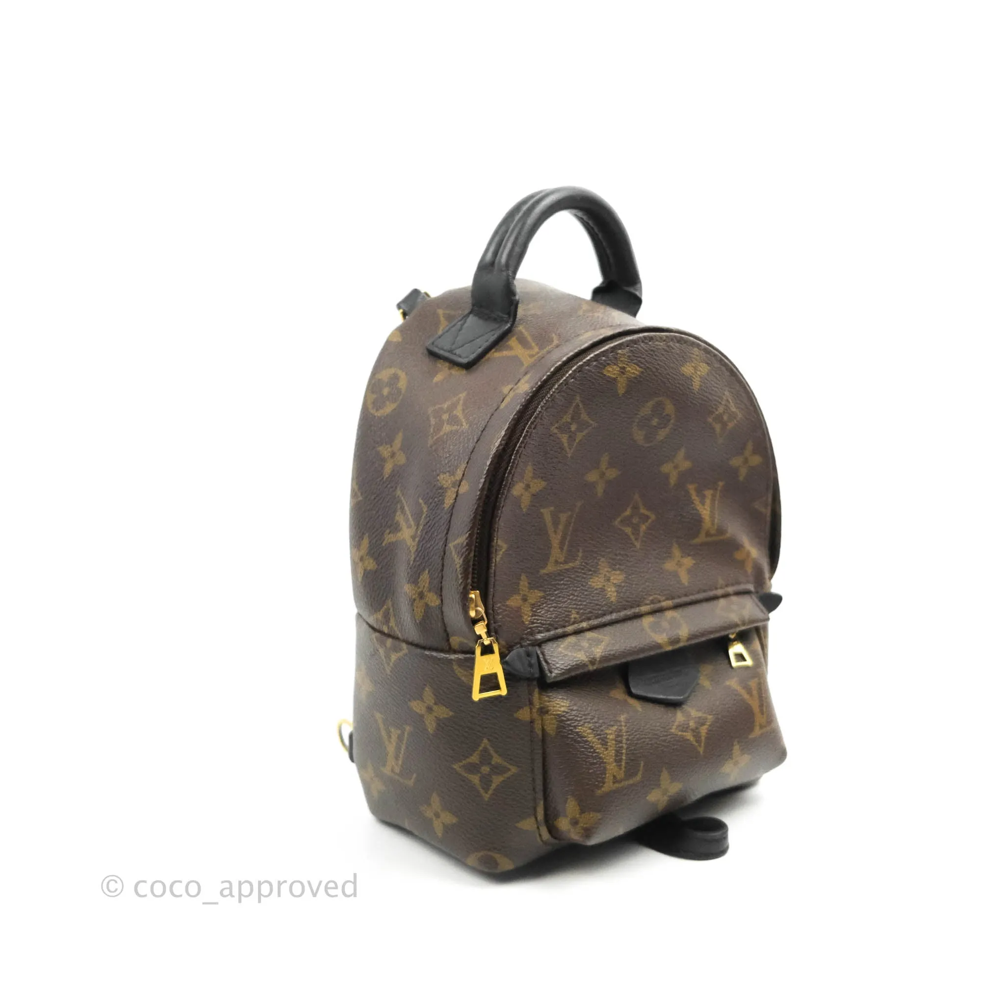 Louis Vuitton Mini Palm Springs Monogram Canvas Backpack