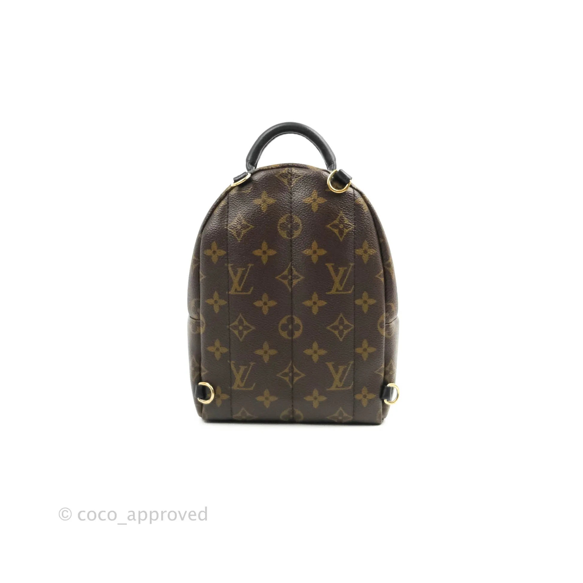 Louis Vuitton Mini Palm Springs Monogram Canvas Backpack