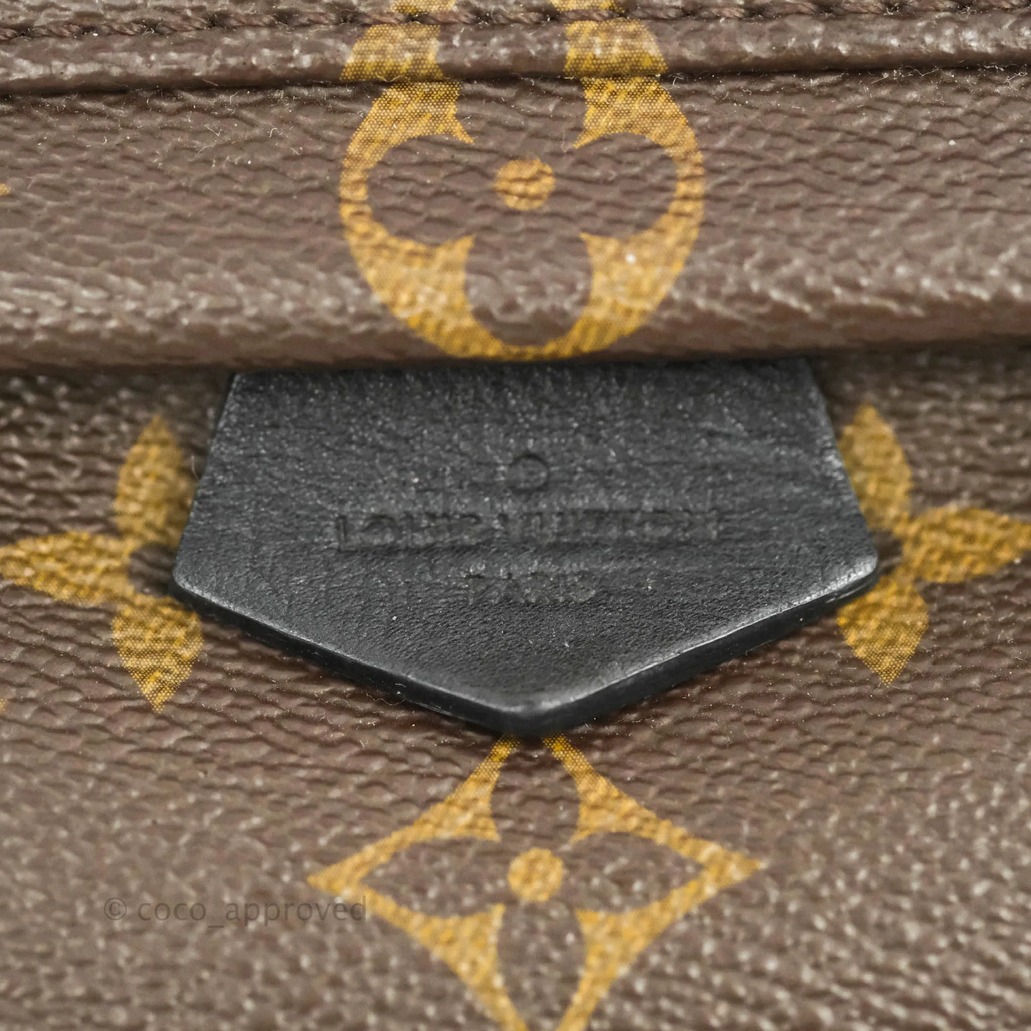 Louis Vuitton Mini Palm Springs Monogram Canvas Backpack