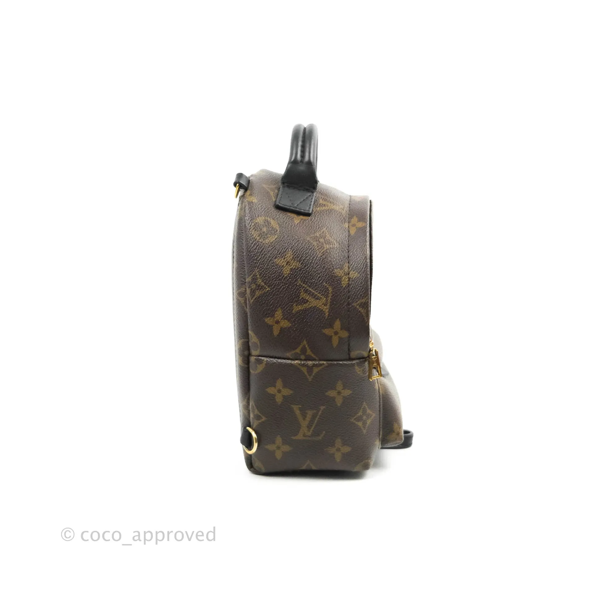 Louis Vuitton Mini Palm Springs Monogram Canvas Backpack