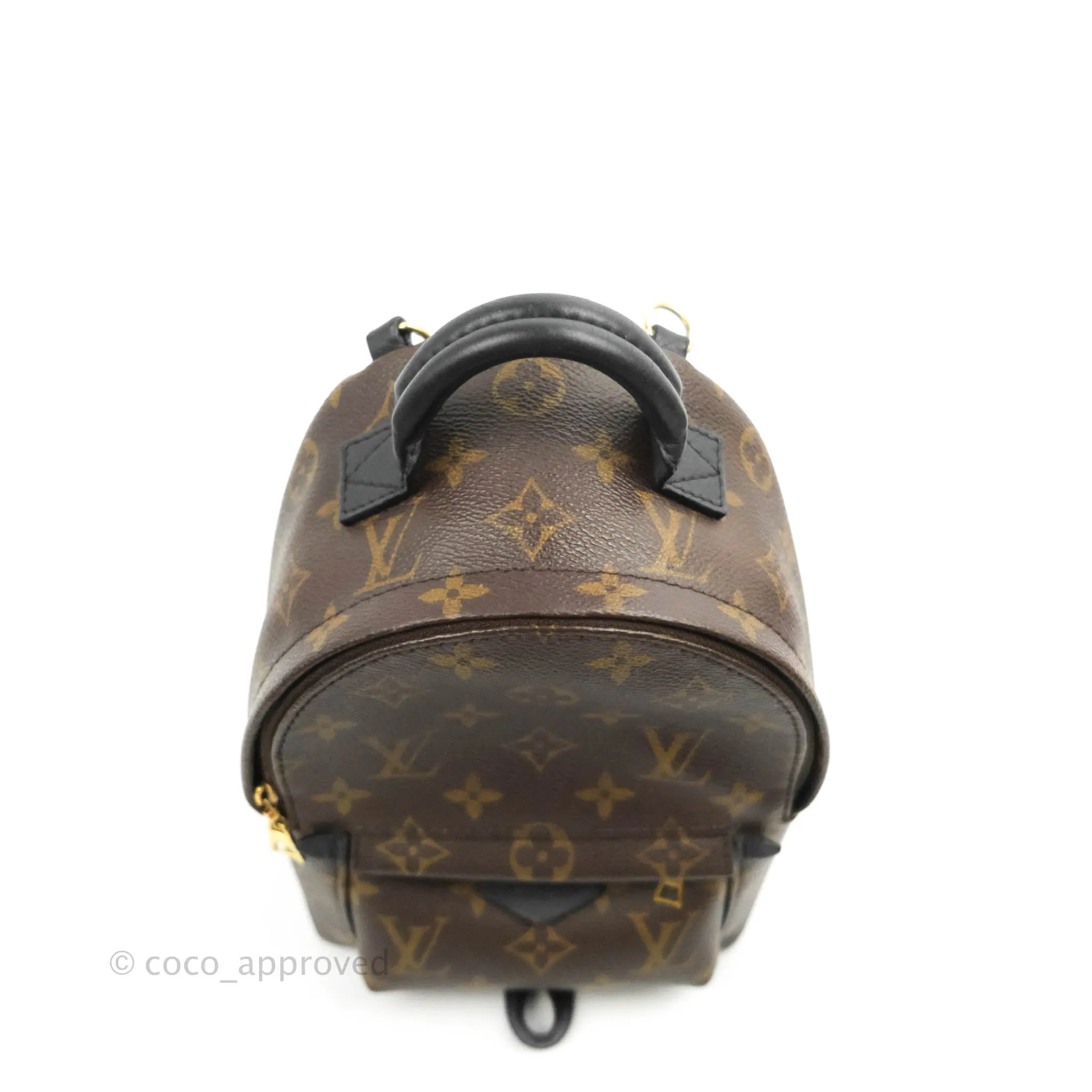 Louis Vuitton Mini Palm Springs Monogram Canvas Backpack