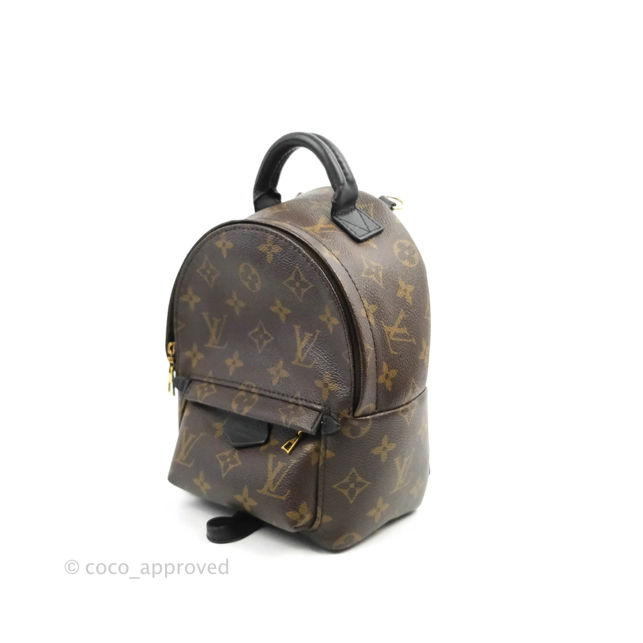 Louis Vuitton Mini Palm Springs Monogram Canvas Backpack