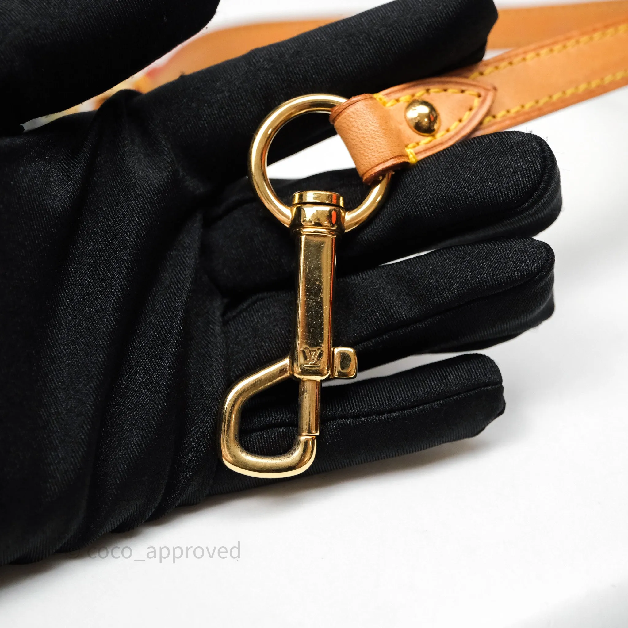 Louis Vuitton Mini Pleaty bag Denim Monogram Gold Hardware