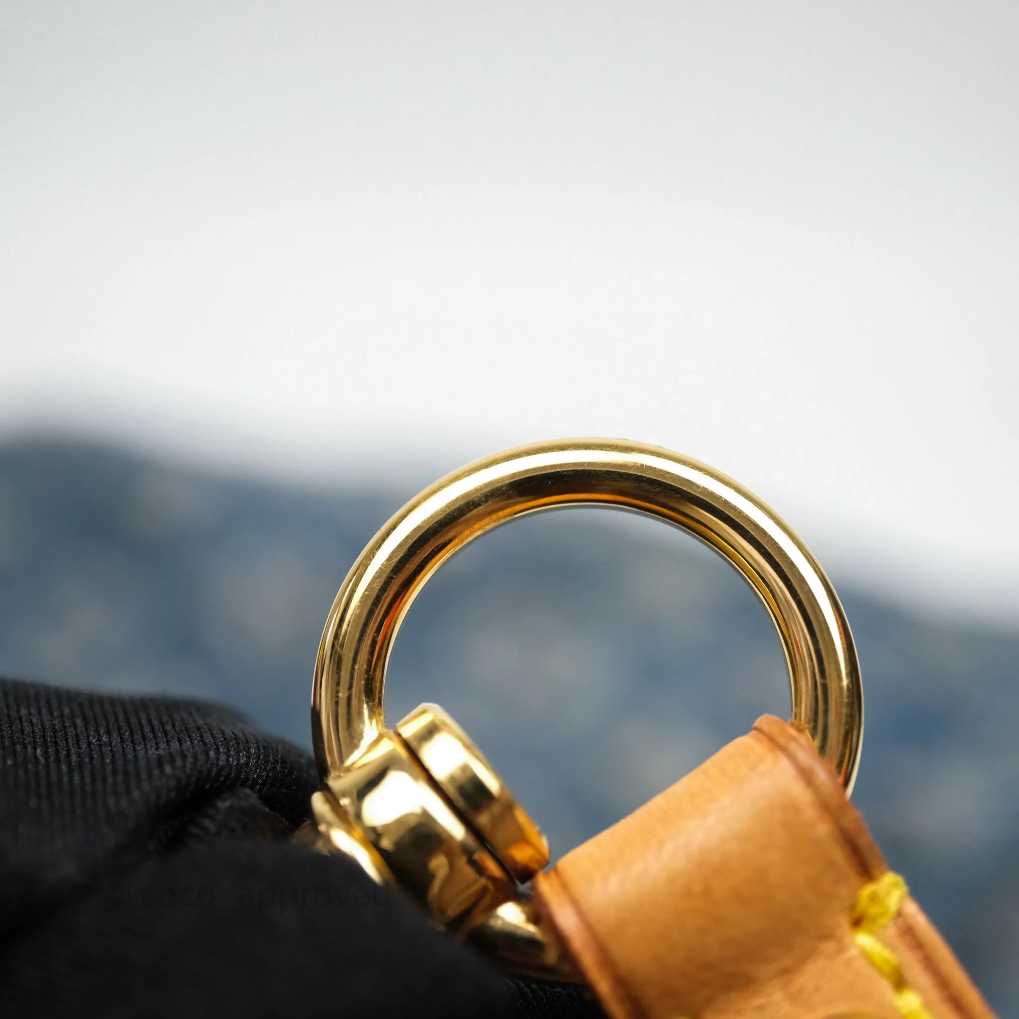 Louis Vuitton Mini Pleaty bag Denim Monogram Gold Hardware
