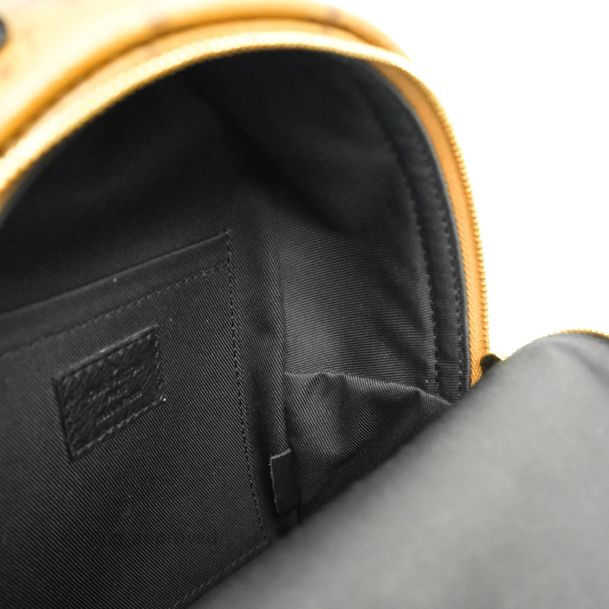 Louis Vuitton Mini Reverse Monogram Palm Springs Backpack