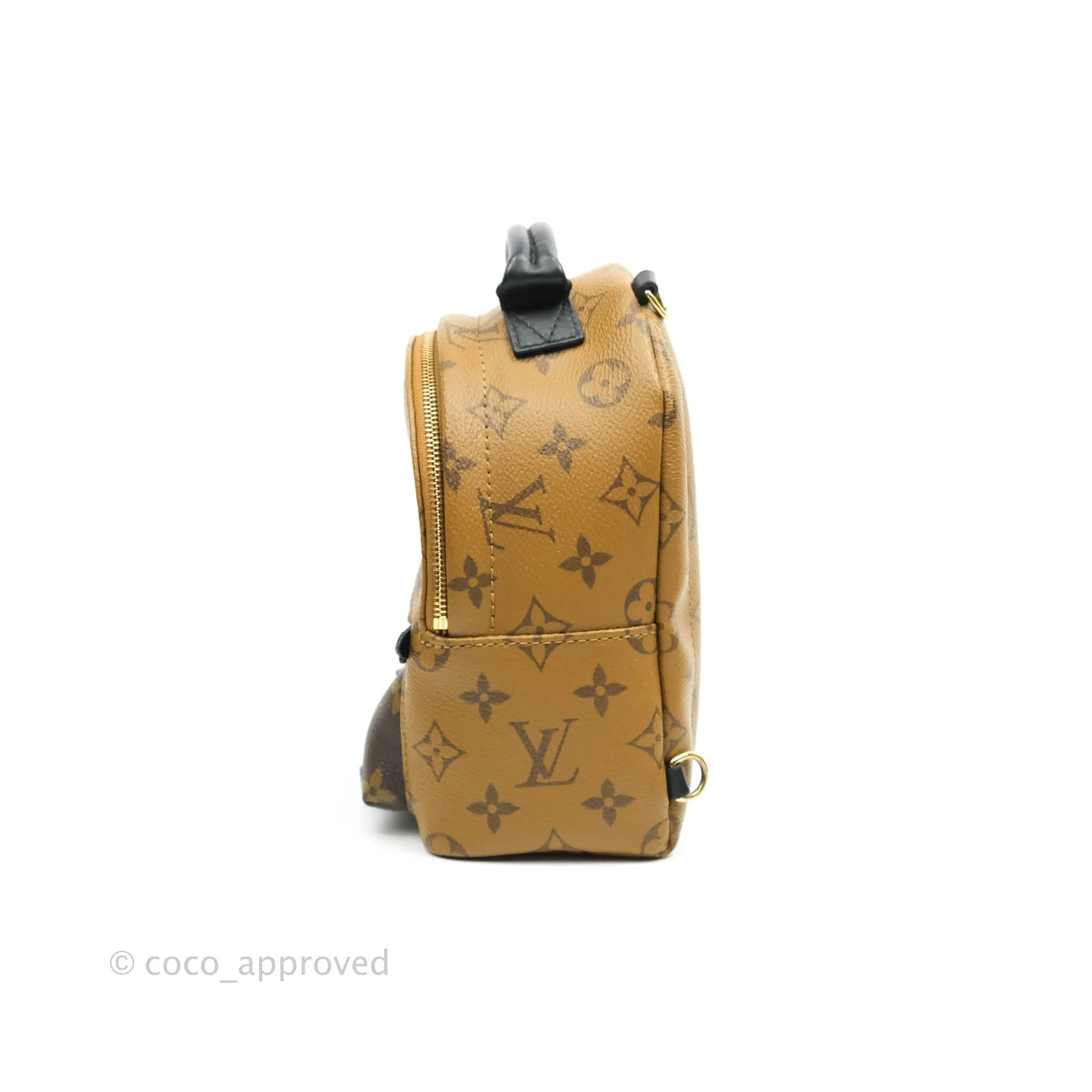 Louis Vuitton Mini Reverse Monogram Palm Springs Backpack