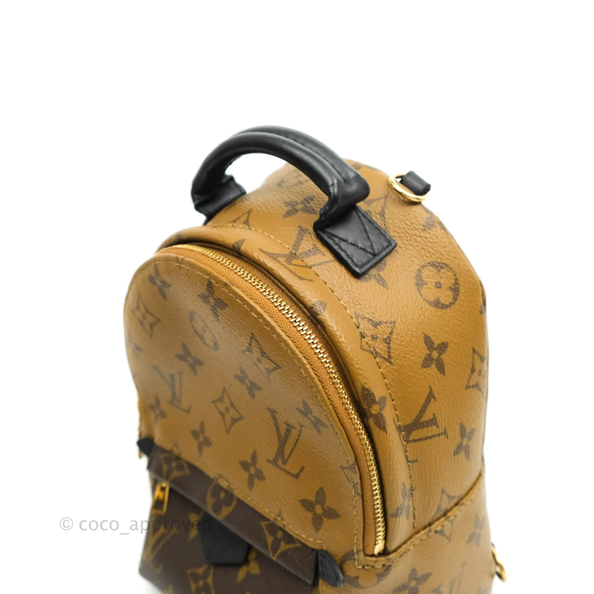 Louis Vuitton Mini Reverse Monogram Palm Springs Backpack