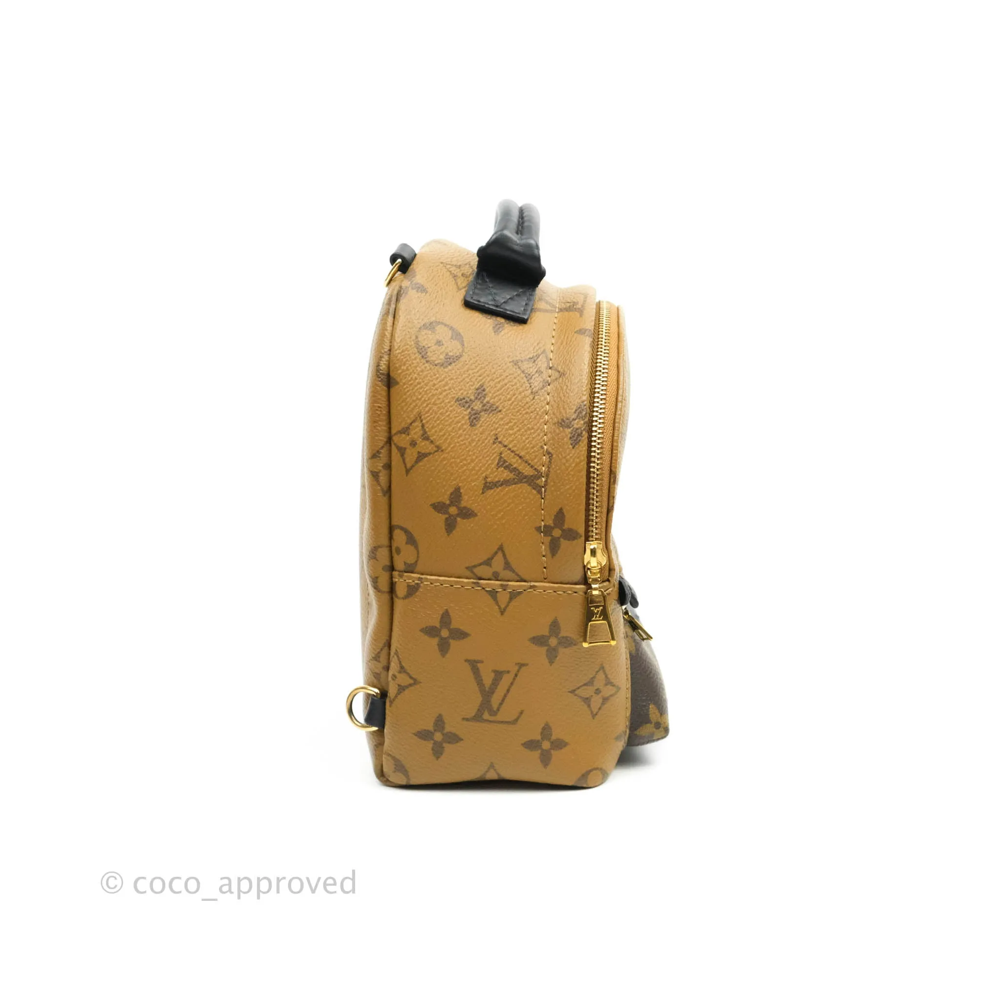 Louis Vuitton Mini Reverse Monogram Palm Springs Backpack