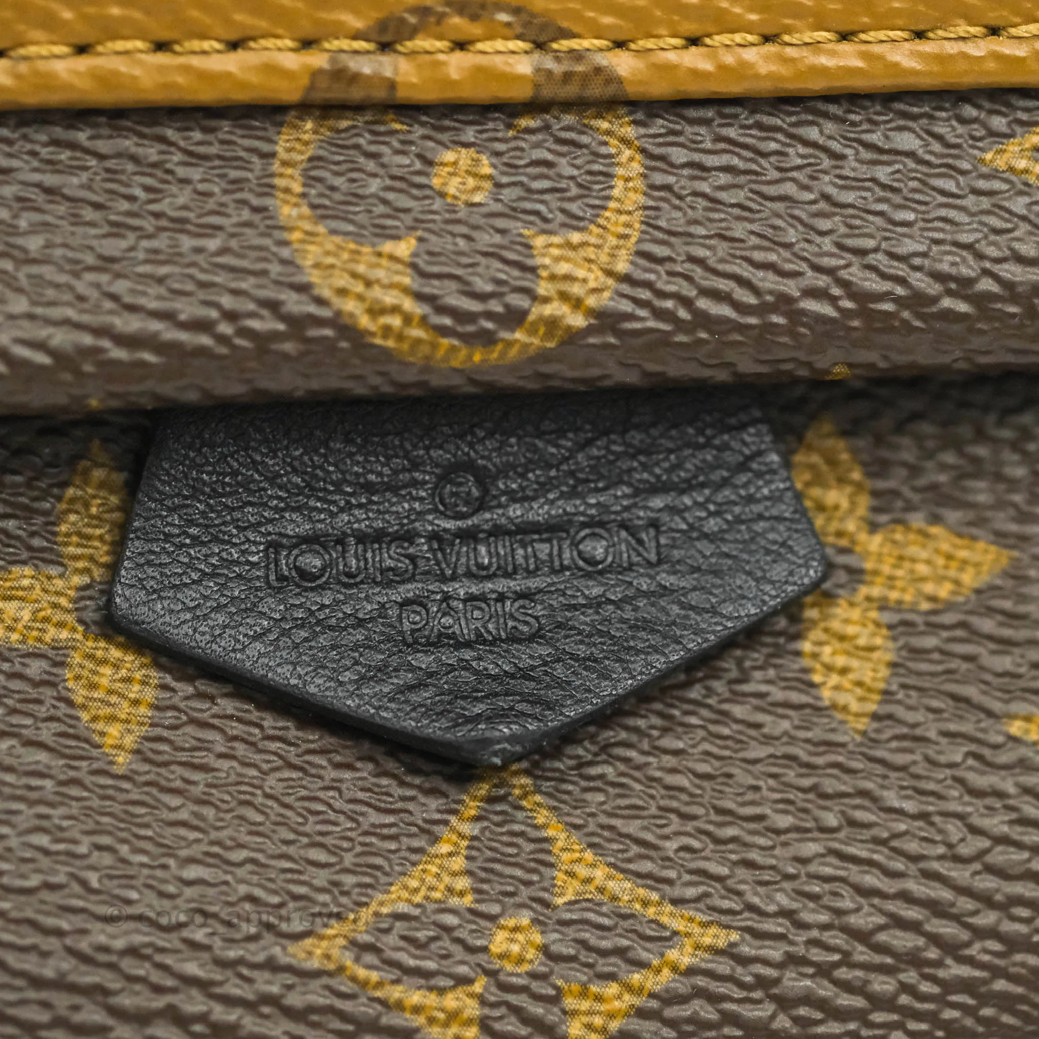 Louis Vuitton Mini Reverse Monogram Palm Springs Backpack
