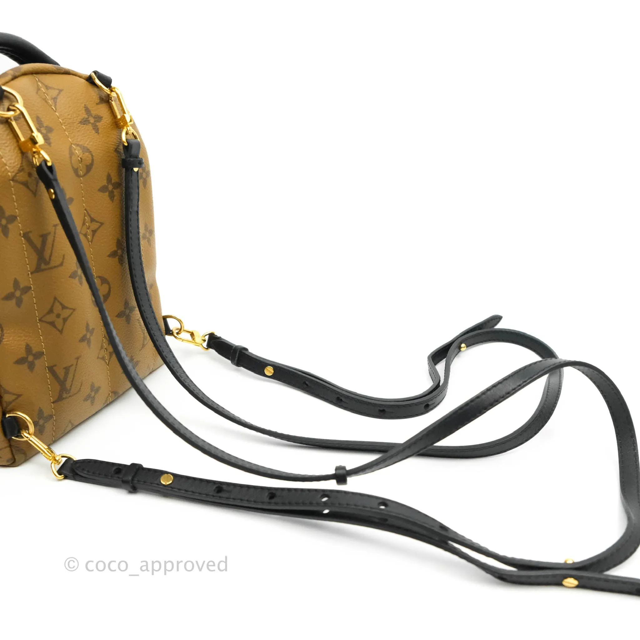 Louis Vuitton Mini Reverse Monogram Palm Springs Backpack