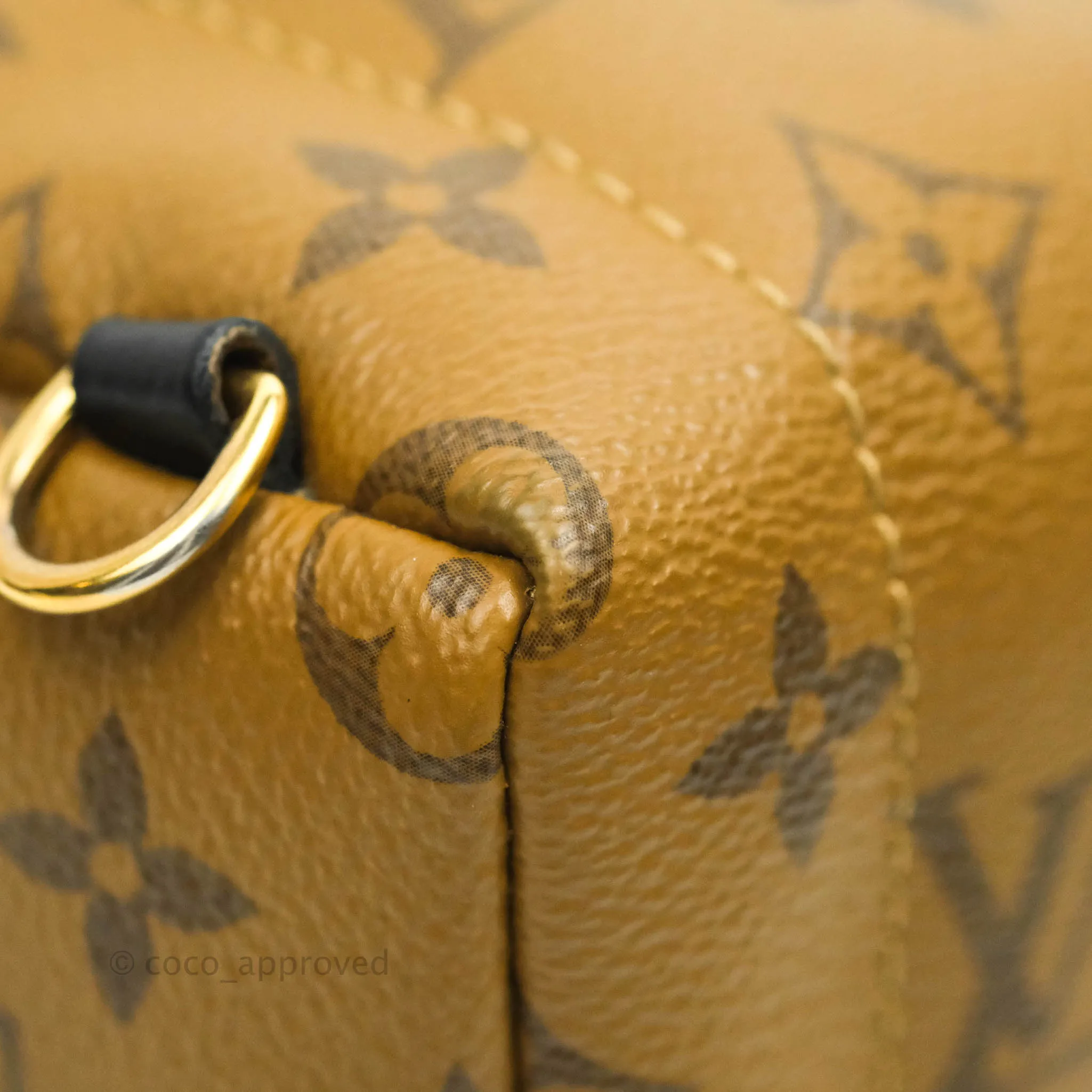 Louis Vuitton Mini Reverse Monogram Palm Springs Backpack