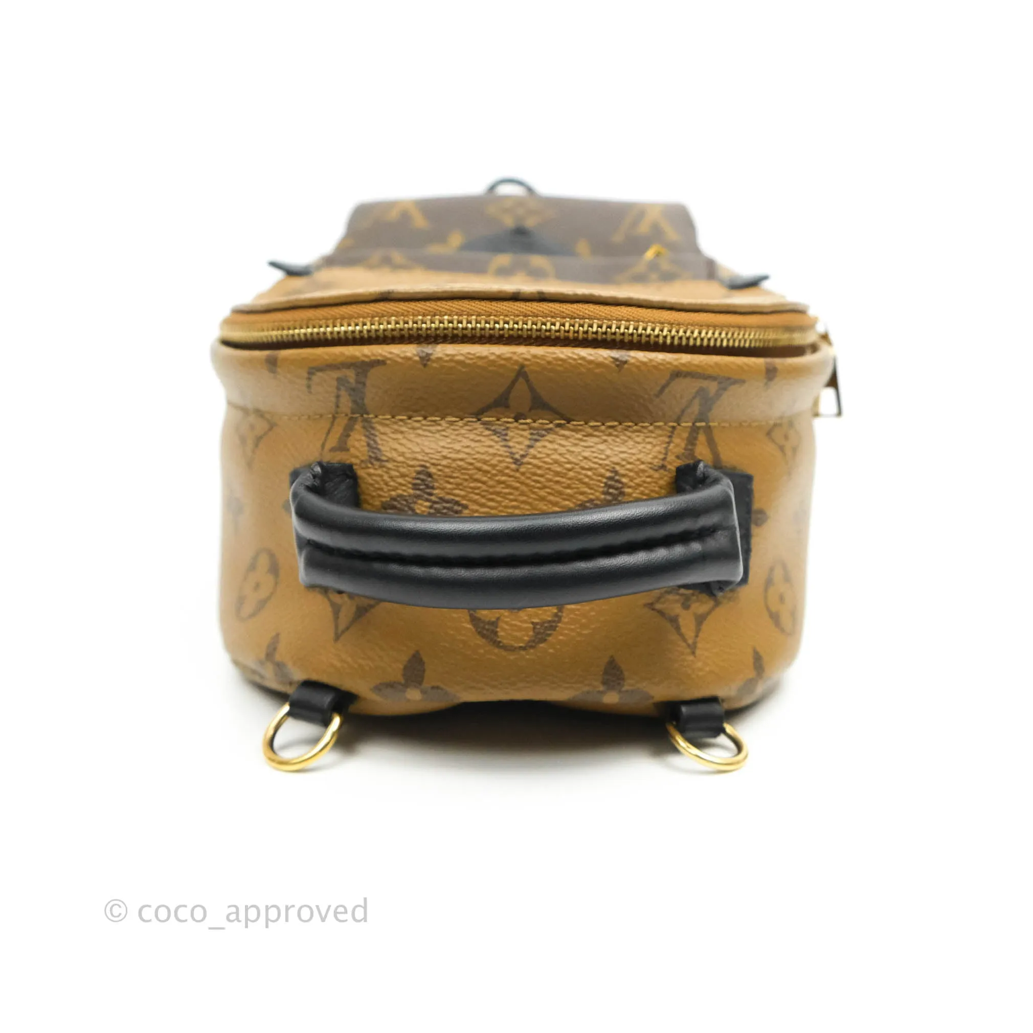 Louis Vuitton Mini Reverse Monogram Palm Springs Backpack