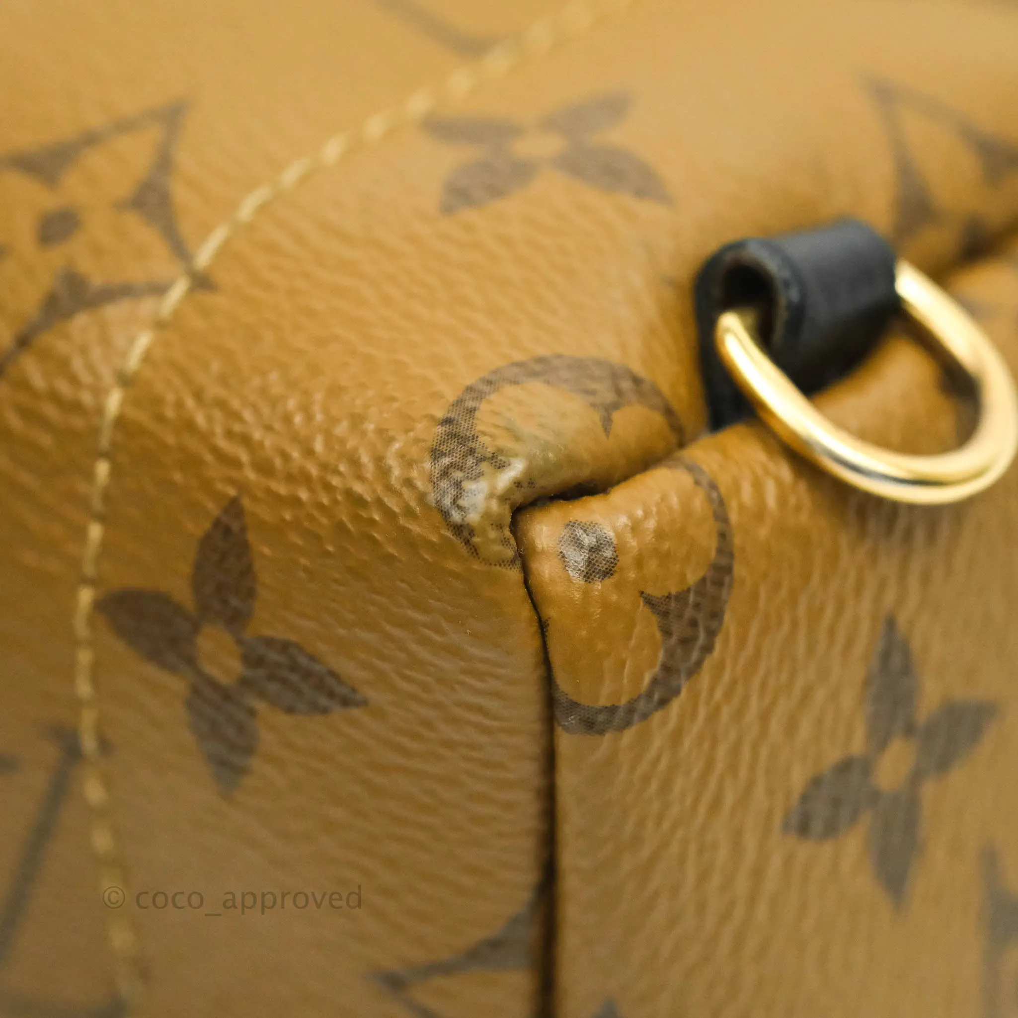 Louis Vuitton Mini Reverse Monogram Palm Springs Backpack