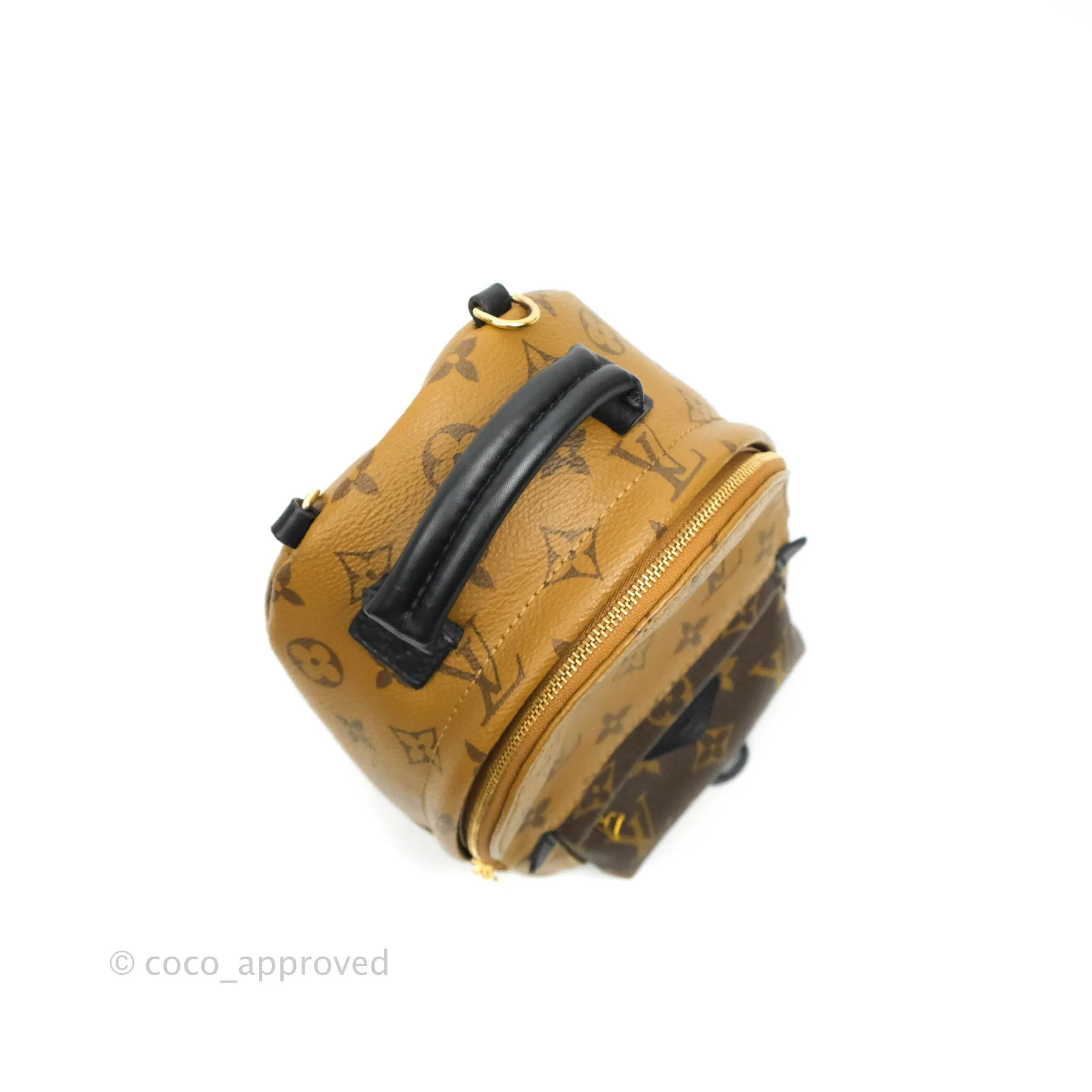 Louis Vuitton Mini Reverse Monogram Palm Springs Backpack