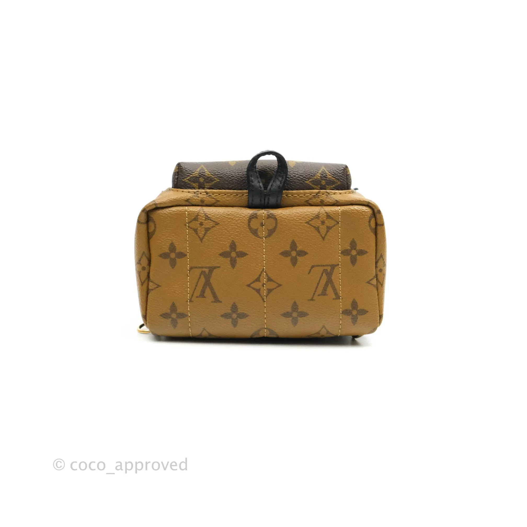 Louis Vuitton Mini Reverse Monogram Palm Springs Backpack