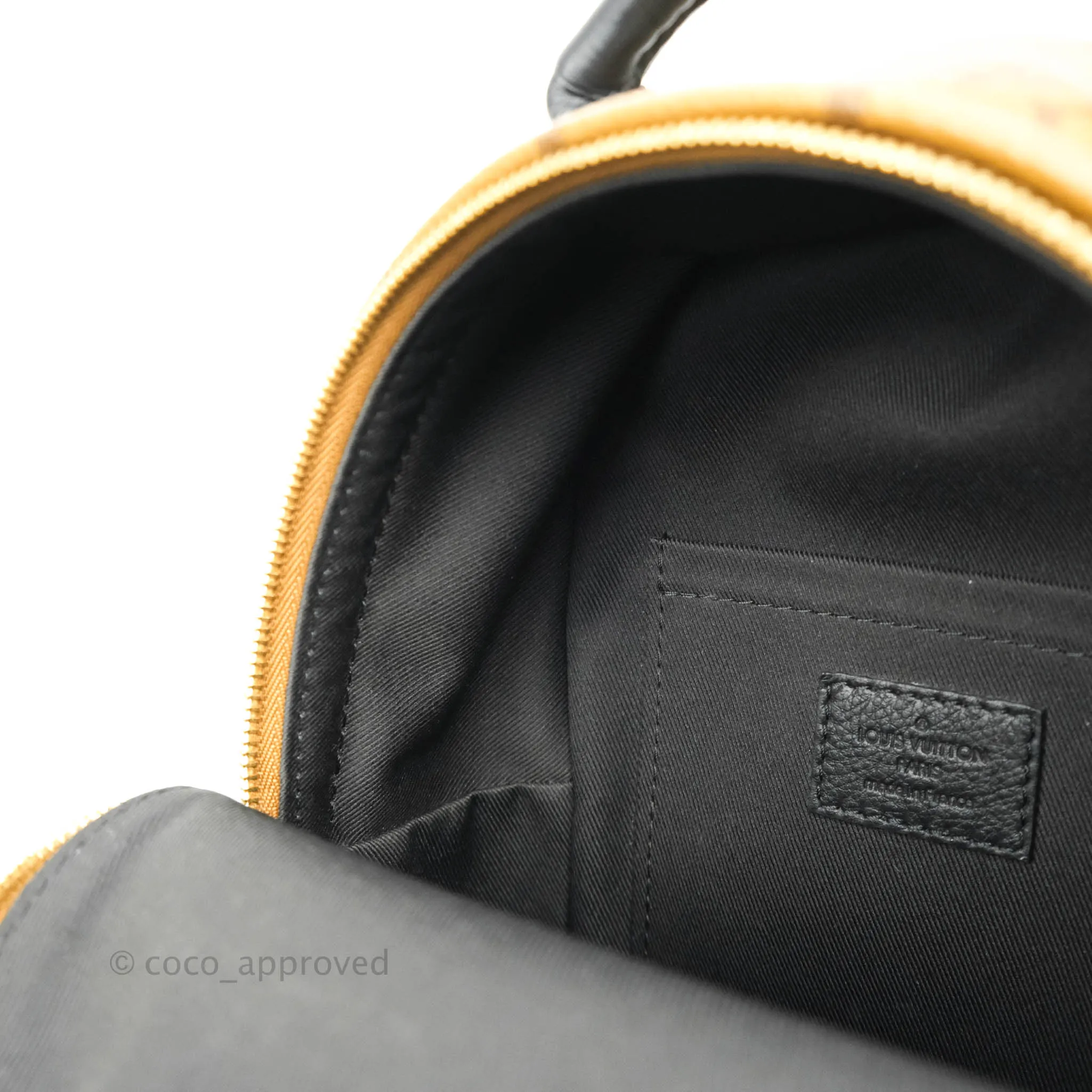 Louis Vuitton Mini Reverse Monogram Palm Springs Backpack